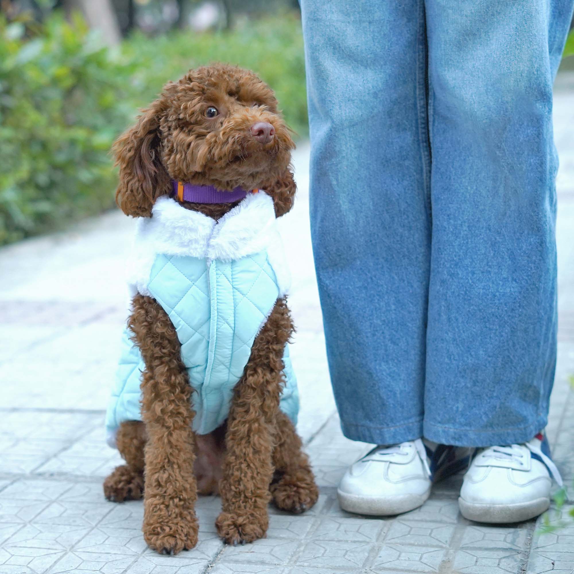 CozyQuilt - Sky Reversible Dog Jacket