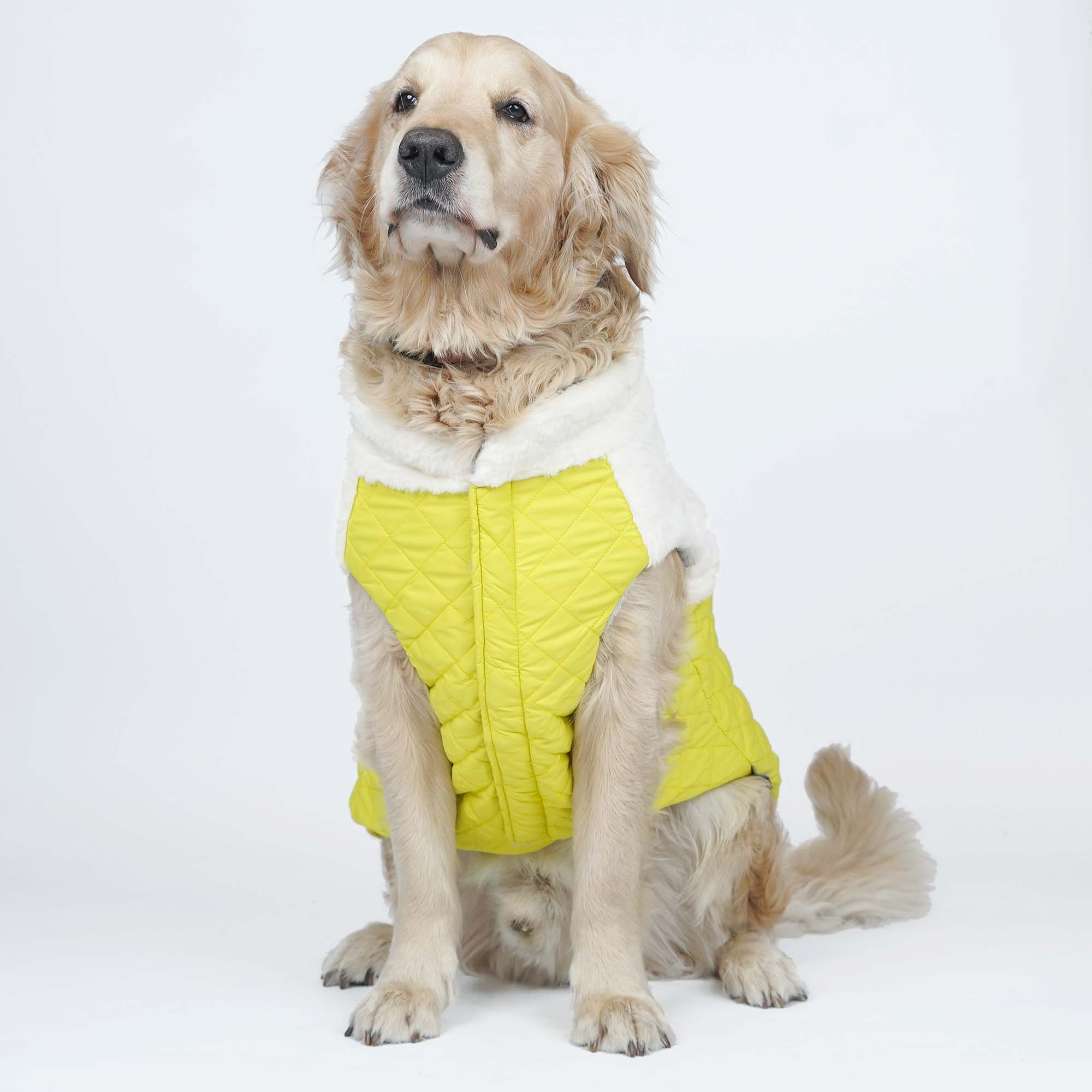 CozyQuilt - Yellow Reversible Dog Jacket