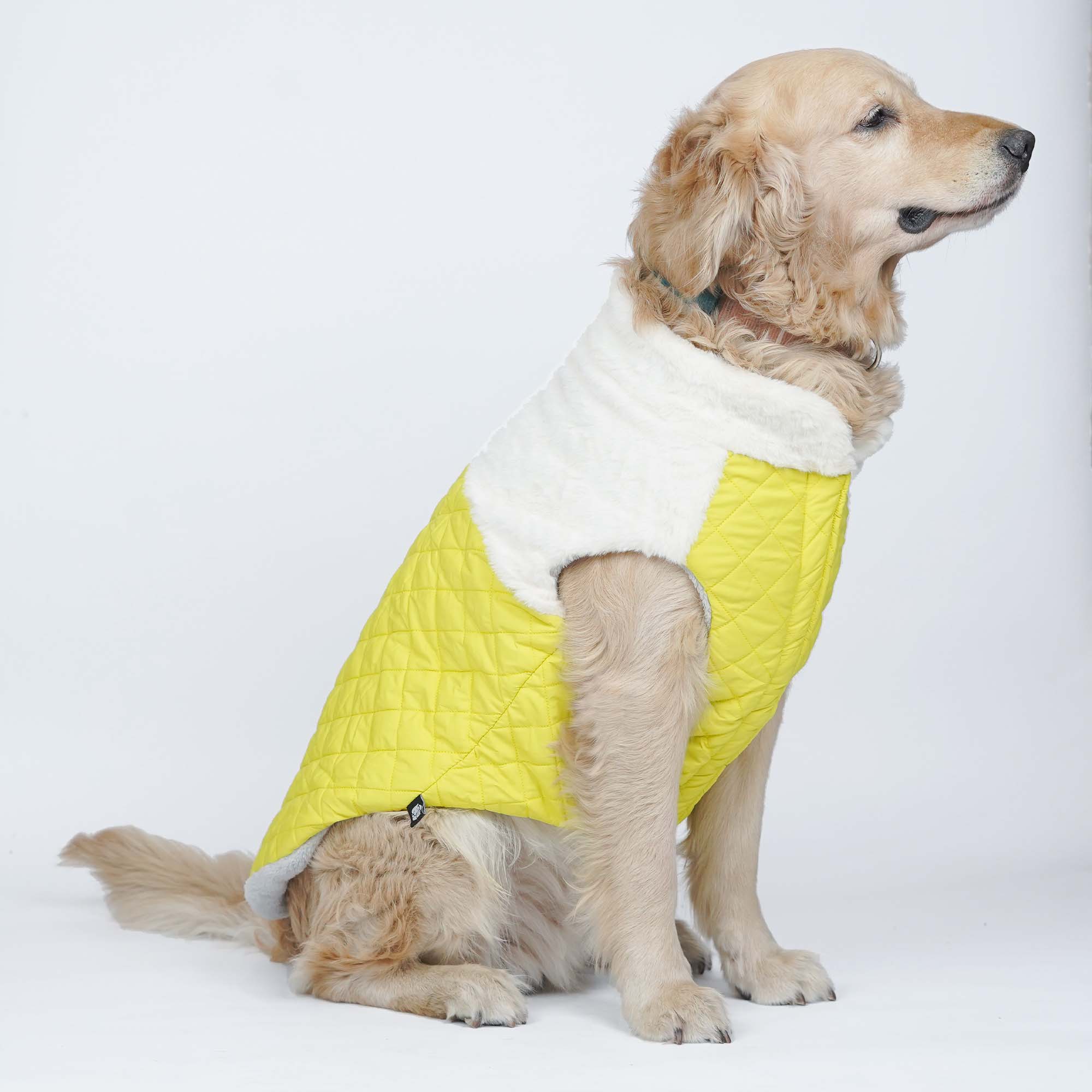 CozyQuilt - Yellow Reversible Dog Jacket
