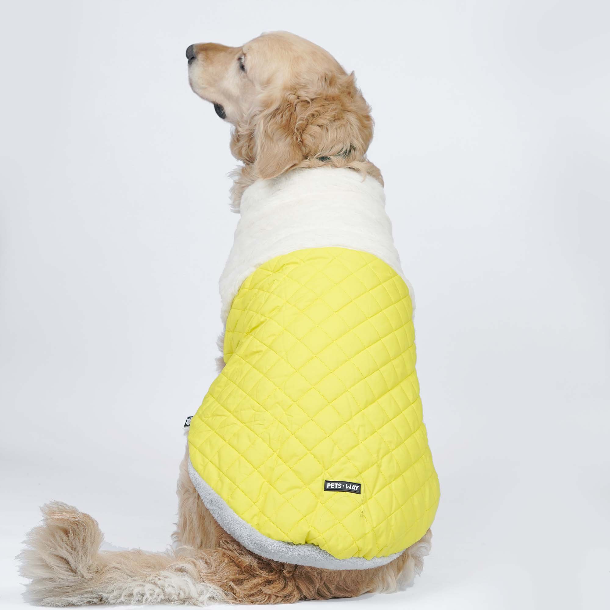 CozyQuilt - Yellow Reversible Dog Jacket