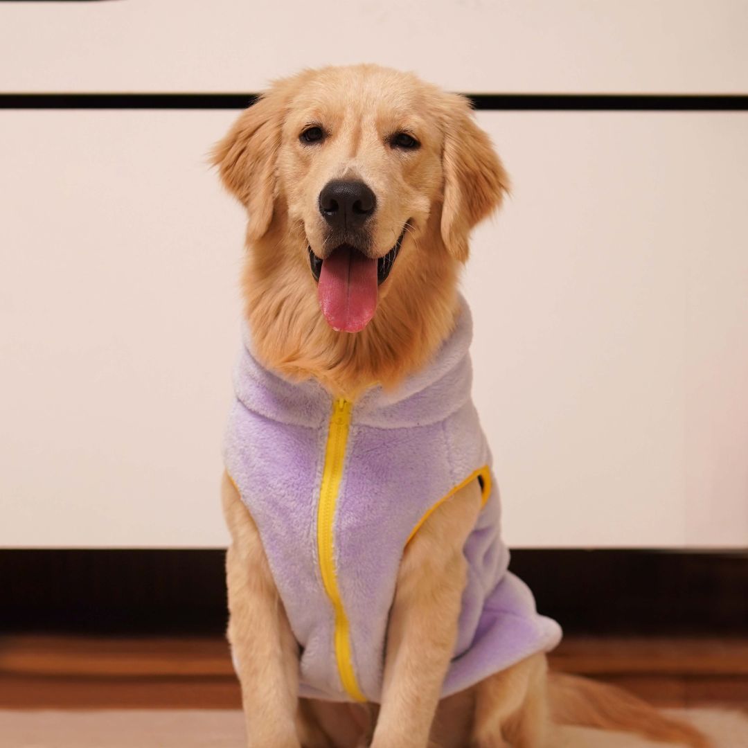 Adorable  Crazy Fur - Dust Blue Dog Jacket Petsway