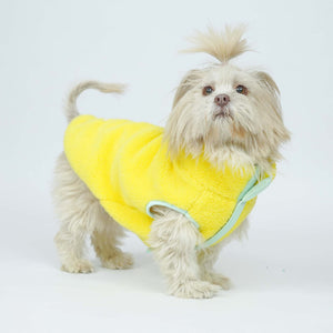 Crazy Pawsity – Leaf Dog Jacket