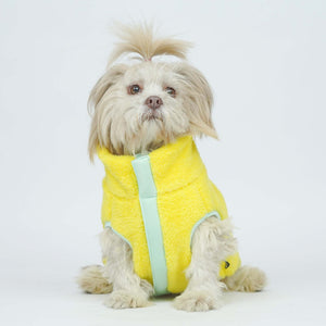 Crazy Pawsity – Leaf Dog Jacket