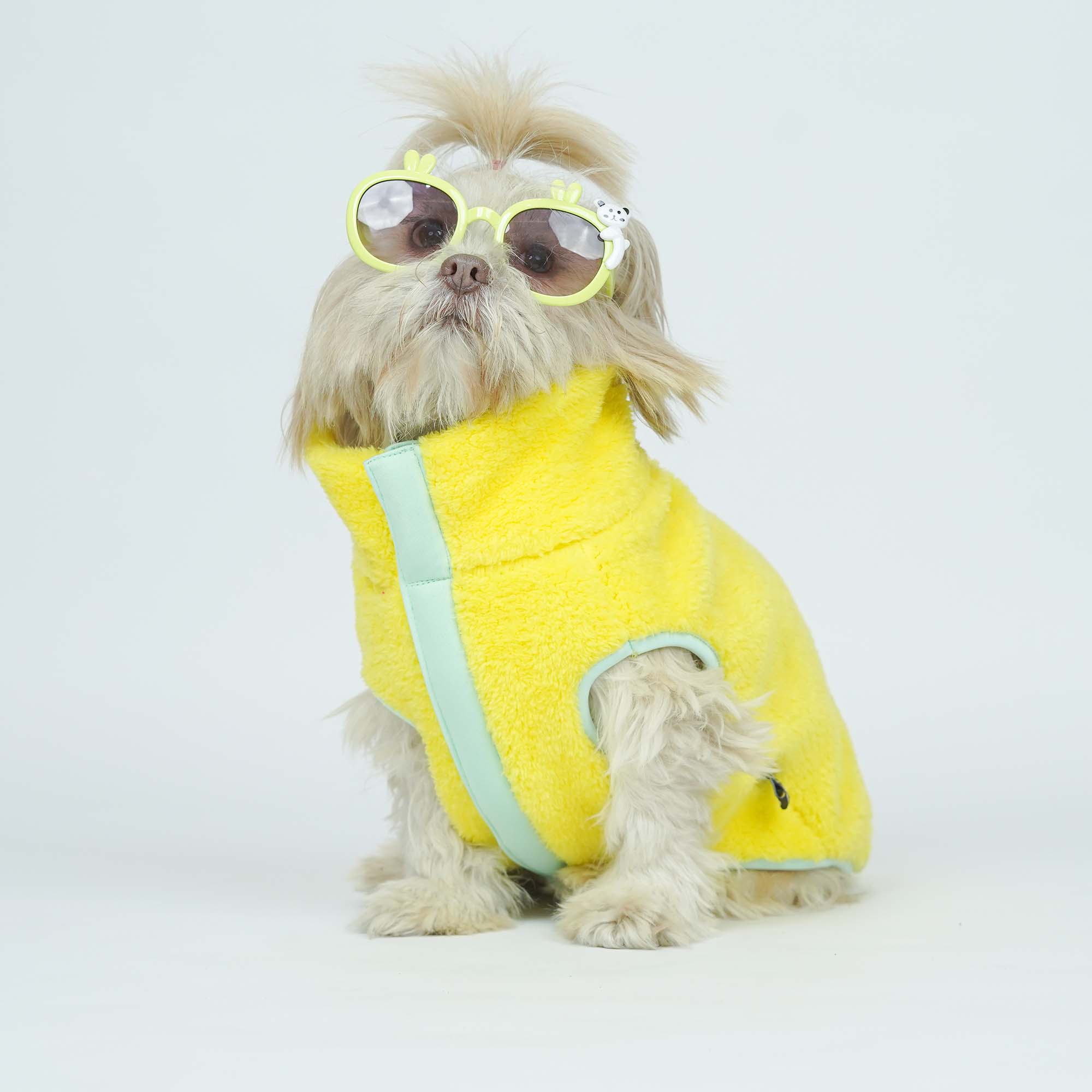 Crazy Fur - Yellow Dog Jacket