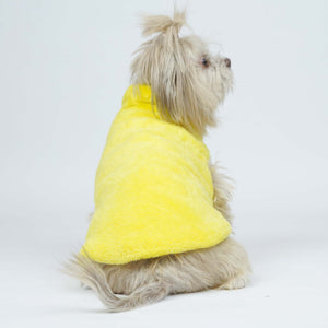 Crazy Pawsity – Leaf Dog Jacket