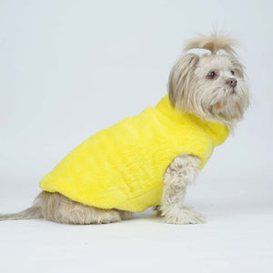Crazy Pawsity – Leaf Dog Jacket