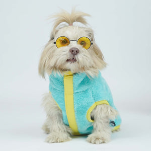 Crazy Pawsity – Tangerine Dog Jacket