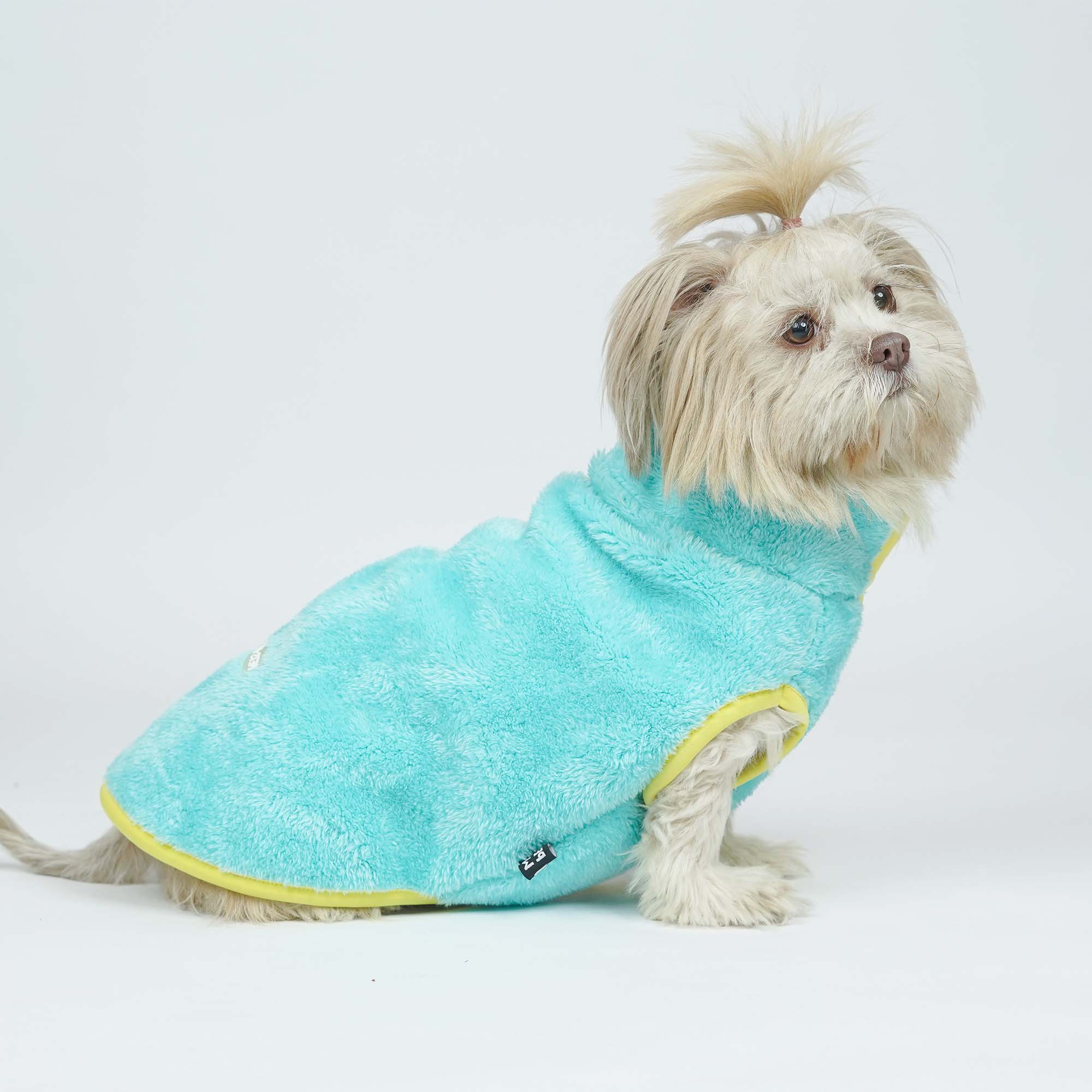 Crazy Pawsity – Tangerine Dog Jacket