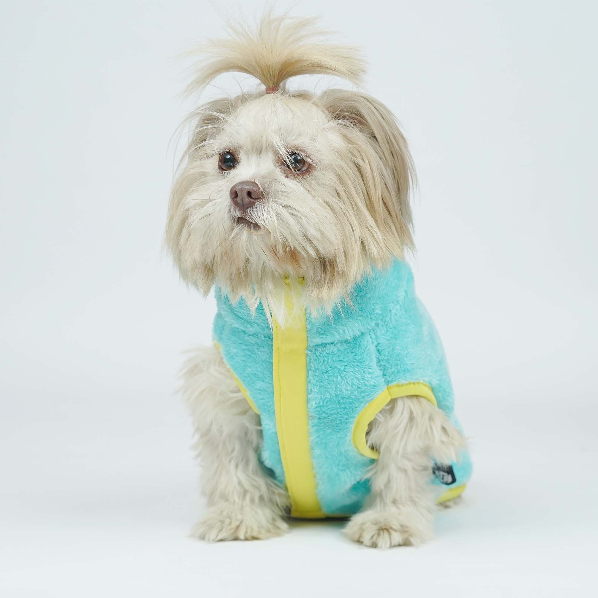 Crazy Pawsity – Tangerine Dog Jacket