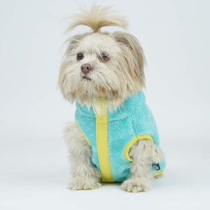 Crazy Pawsity – Tangerine Dog Jacket