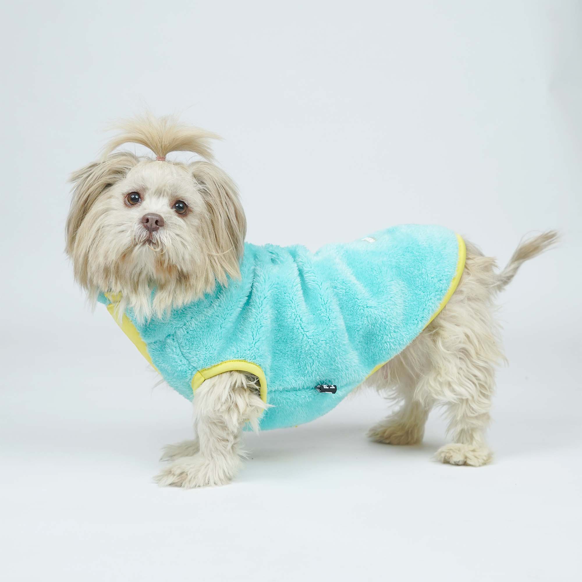 Crazy Pawsity – Tangerine Dog Jacket