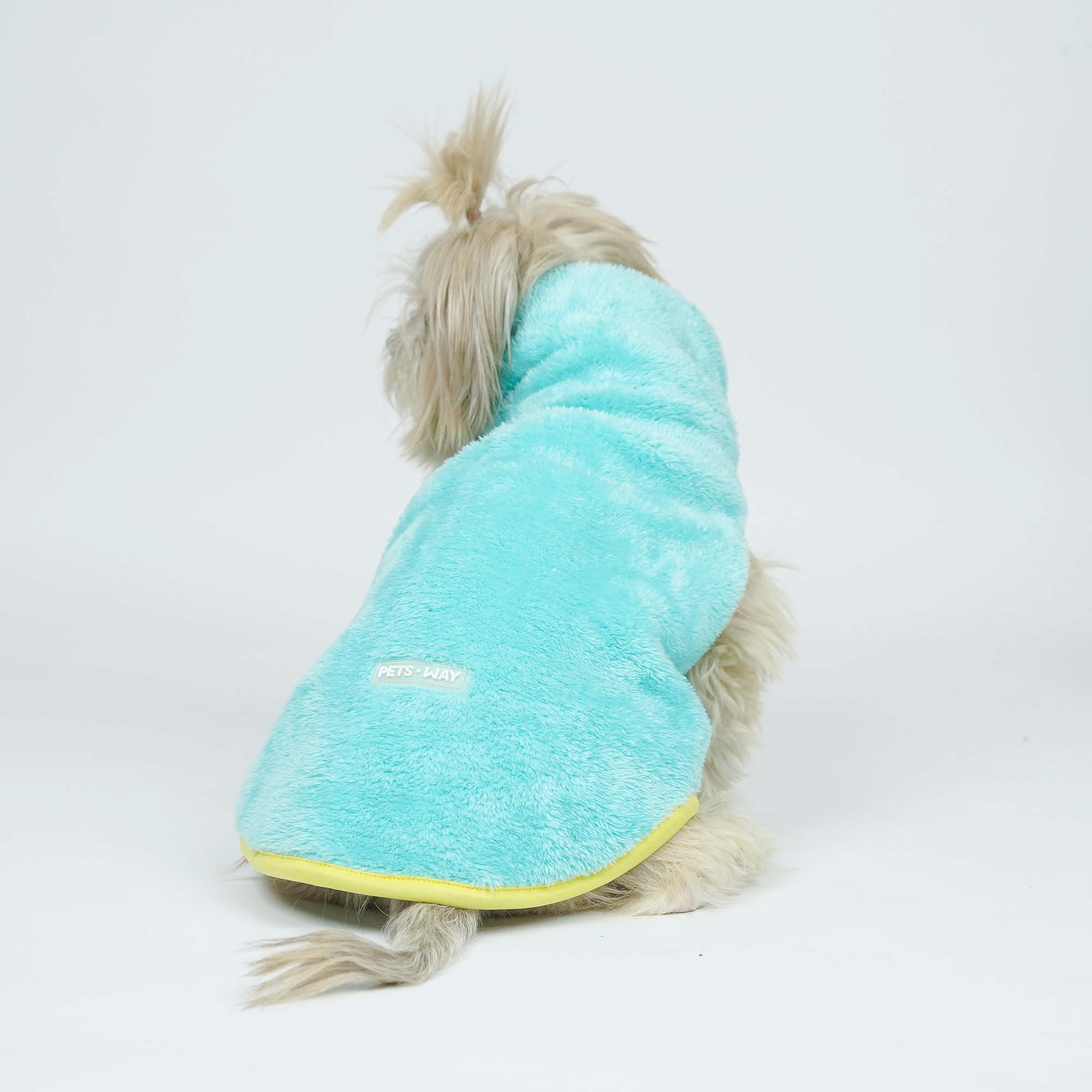 Crazy Pawsity – Tangerine Dog Jacket