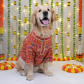 Patola - Red Dog Kurta