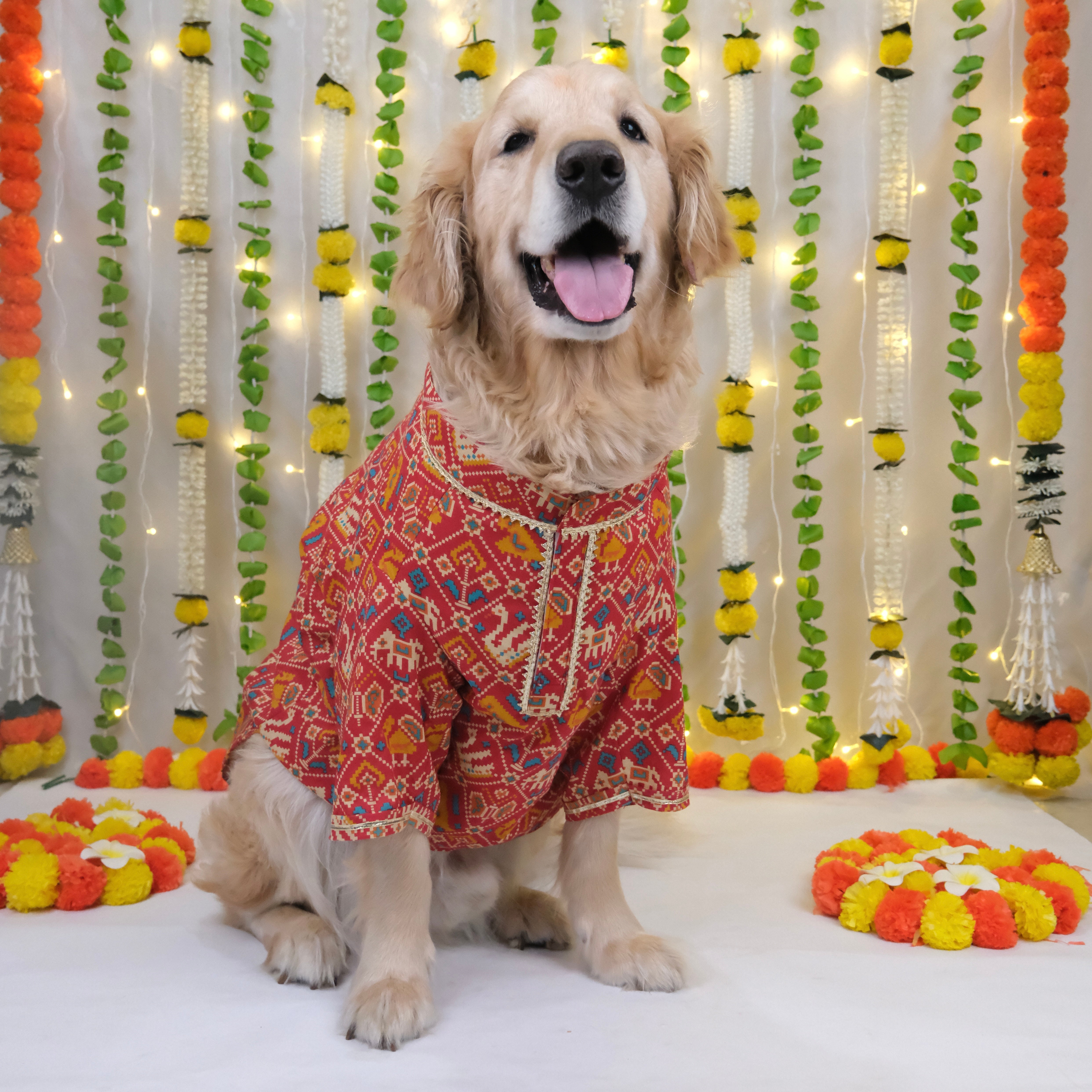 Patola - Red Dog Kurta