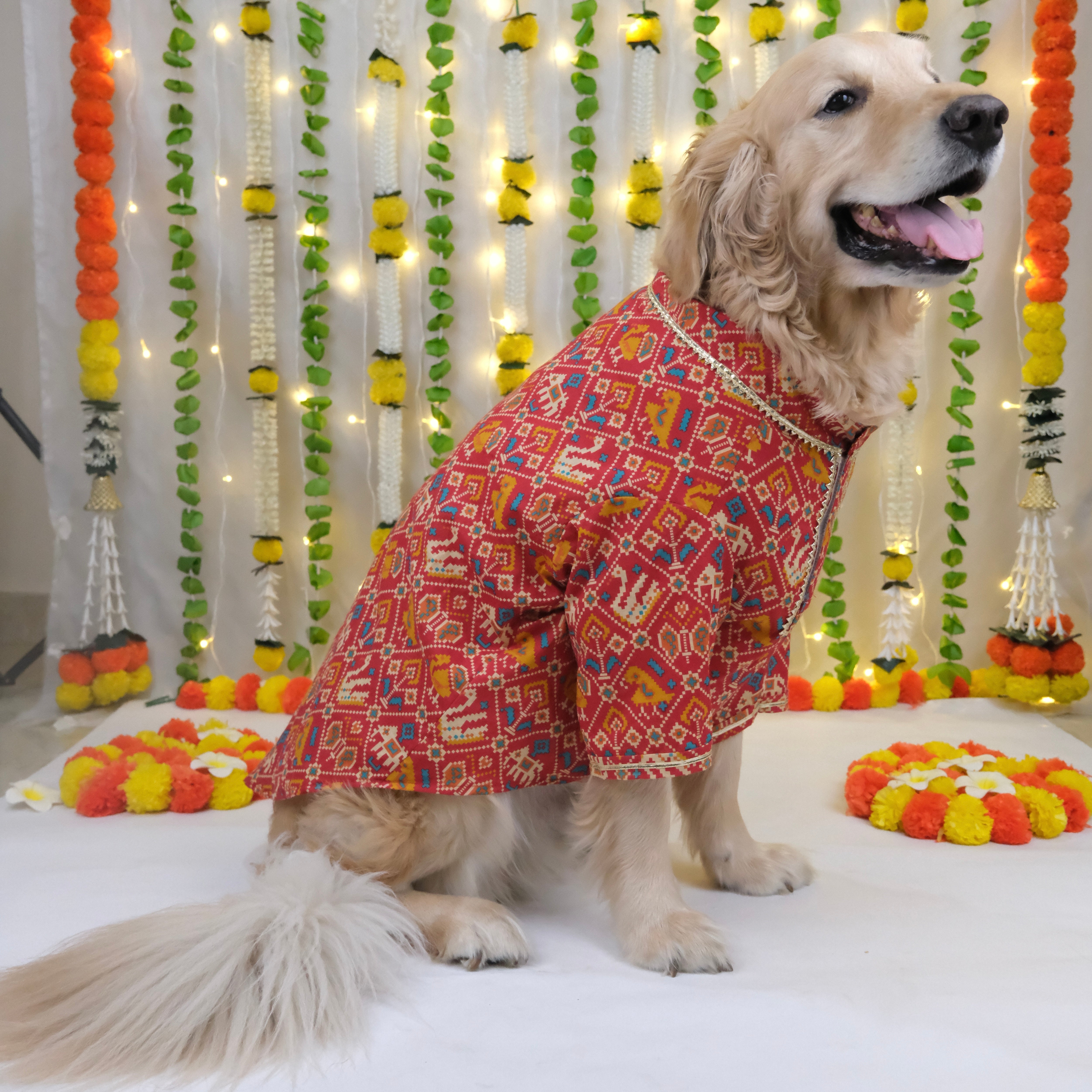 Patola - Red Dog Kurta