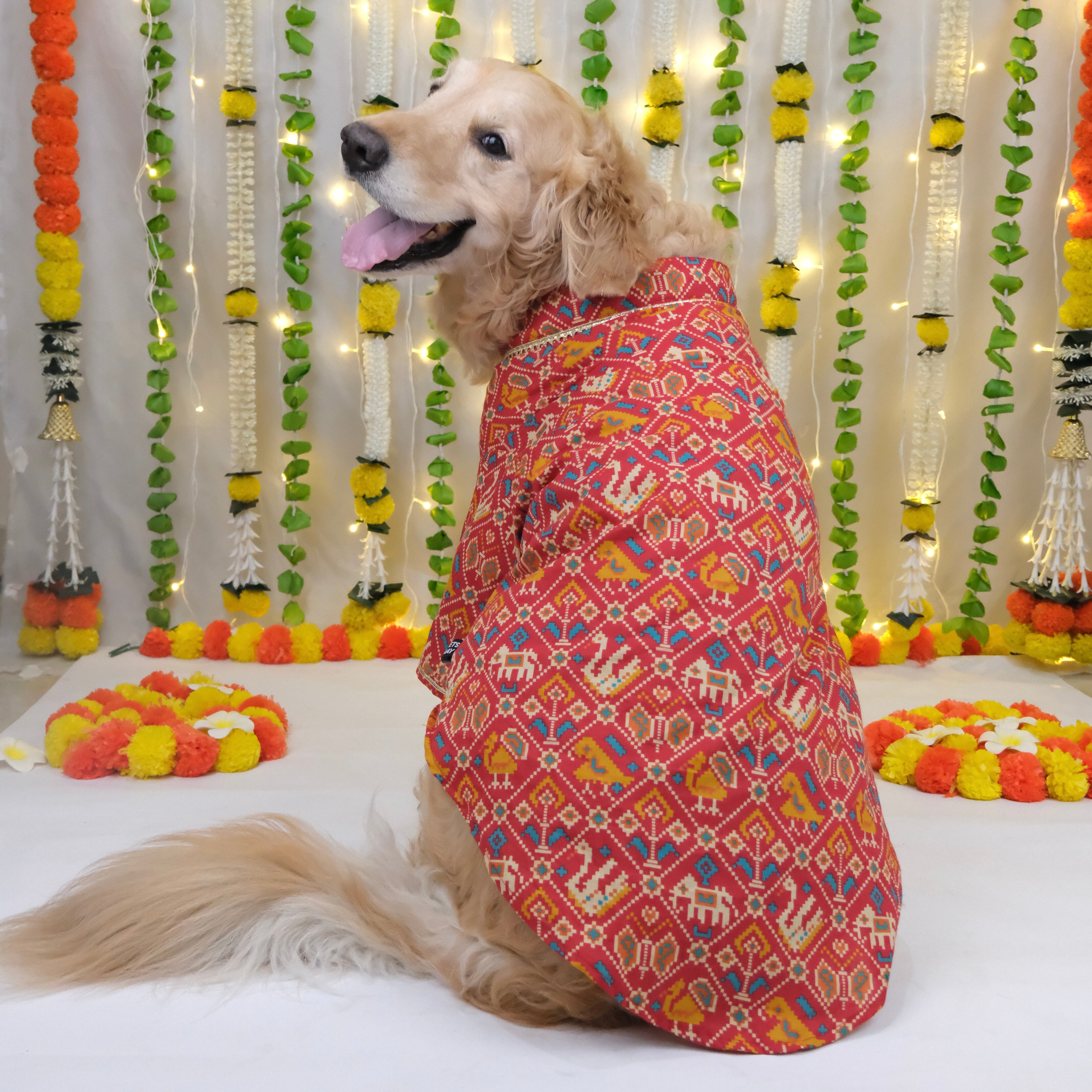 Patola - Red Dog Kurta