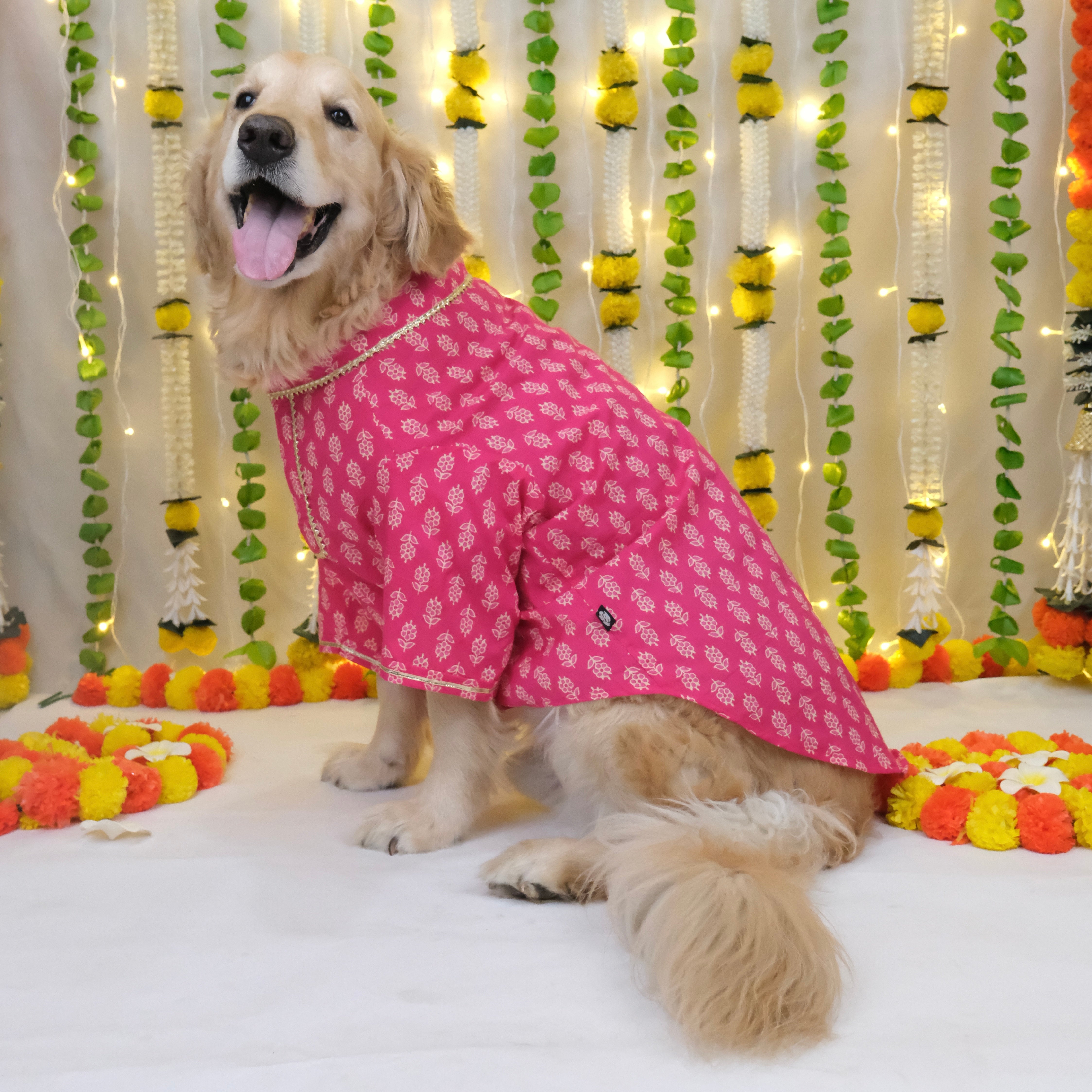 Bagru- Fuchsia Dog Kurta