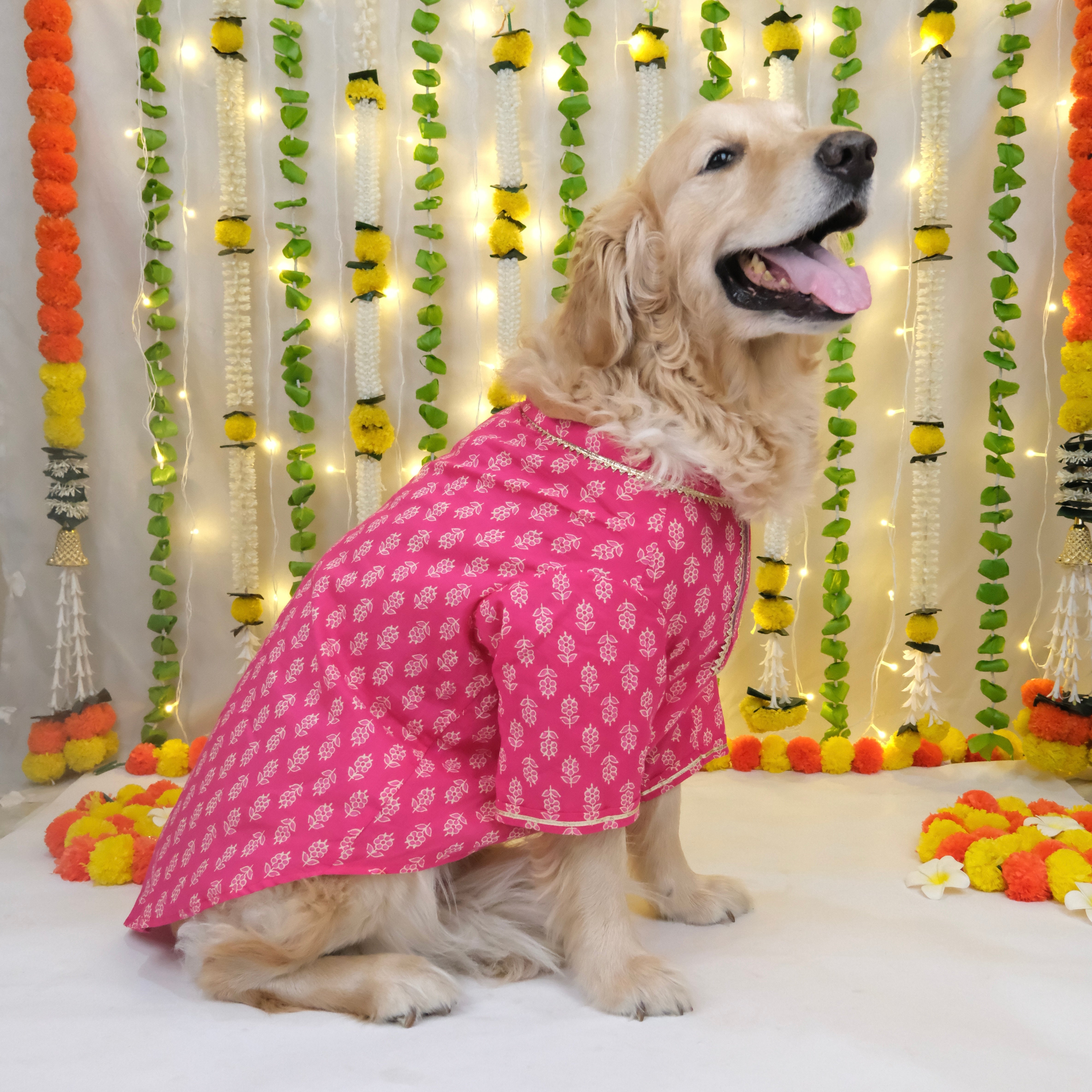 Bagru- Fuchsia Dog Kurta
