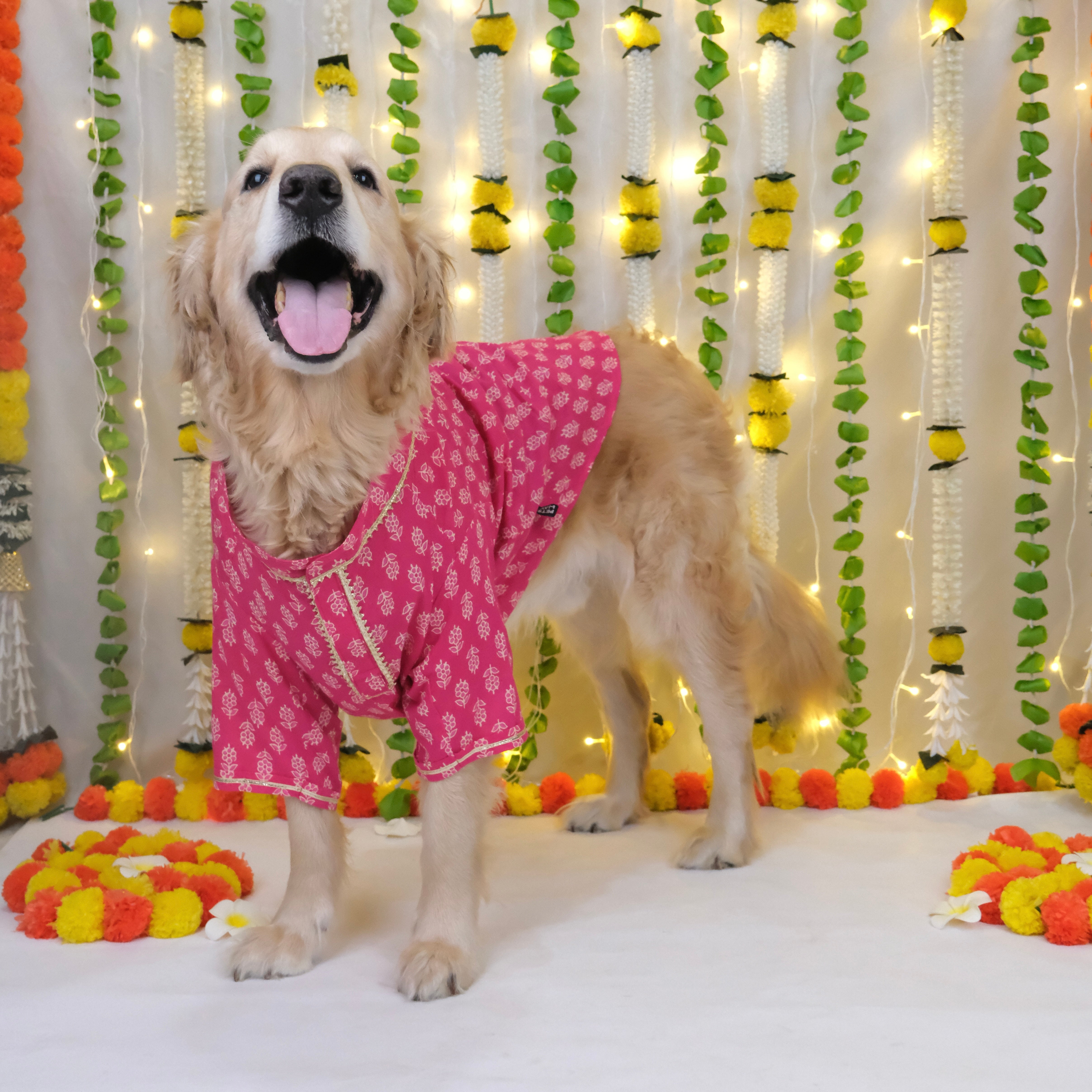 Bagru- Fuchsia Dog Kurta
