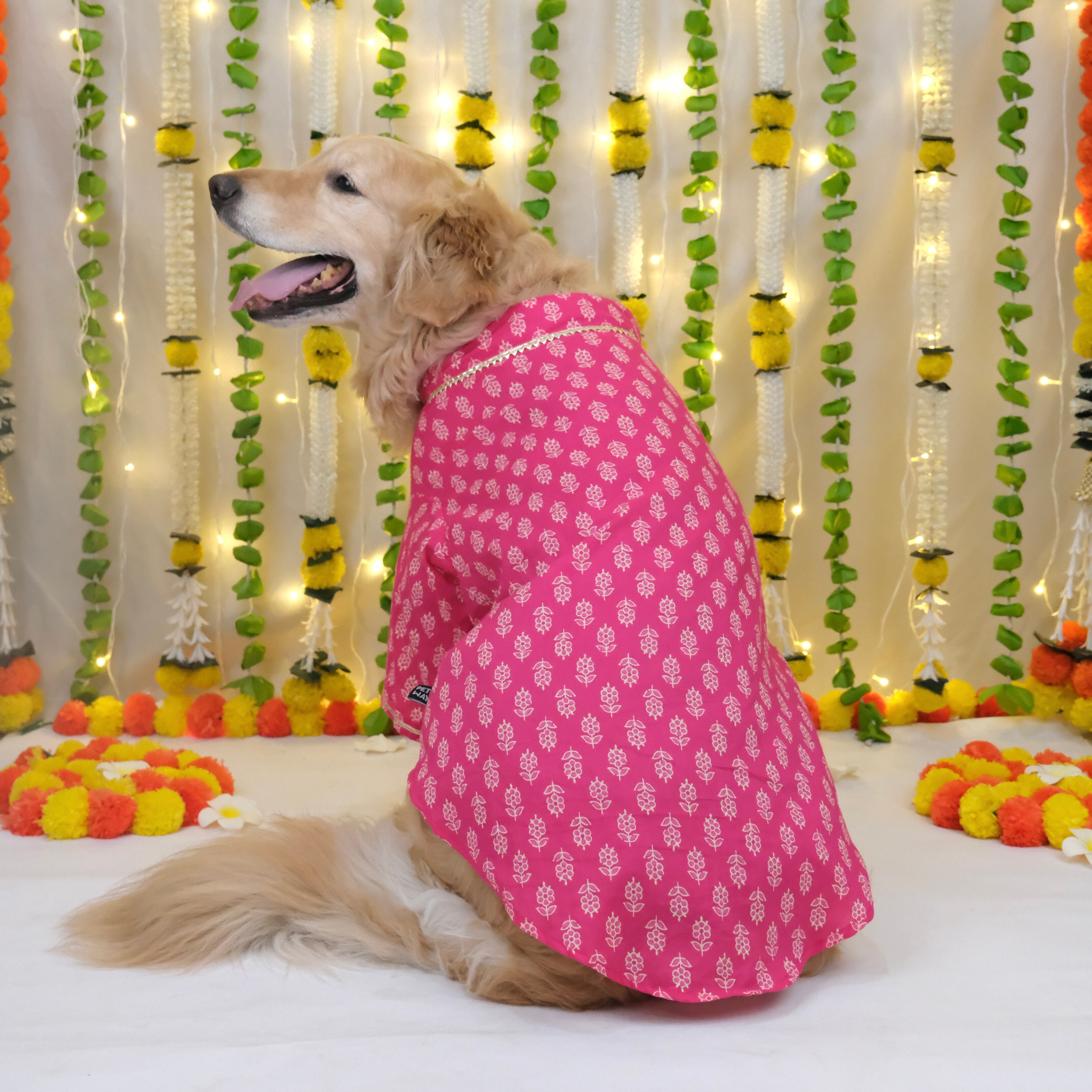 Bagru- Fuchsia Dog Kurta