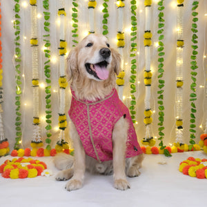 Riwaaz - Fuschia Dog Sherwani