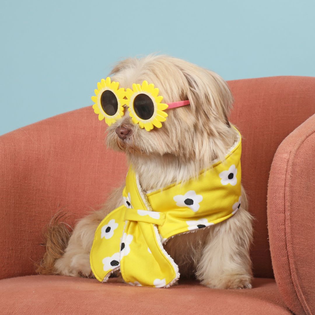 Stylish Daisy snood Petsway