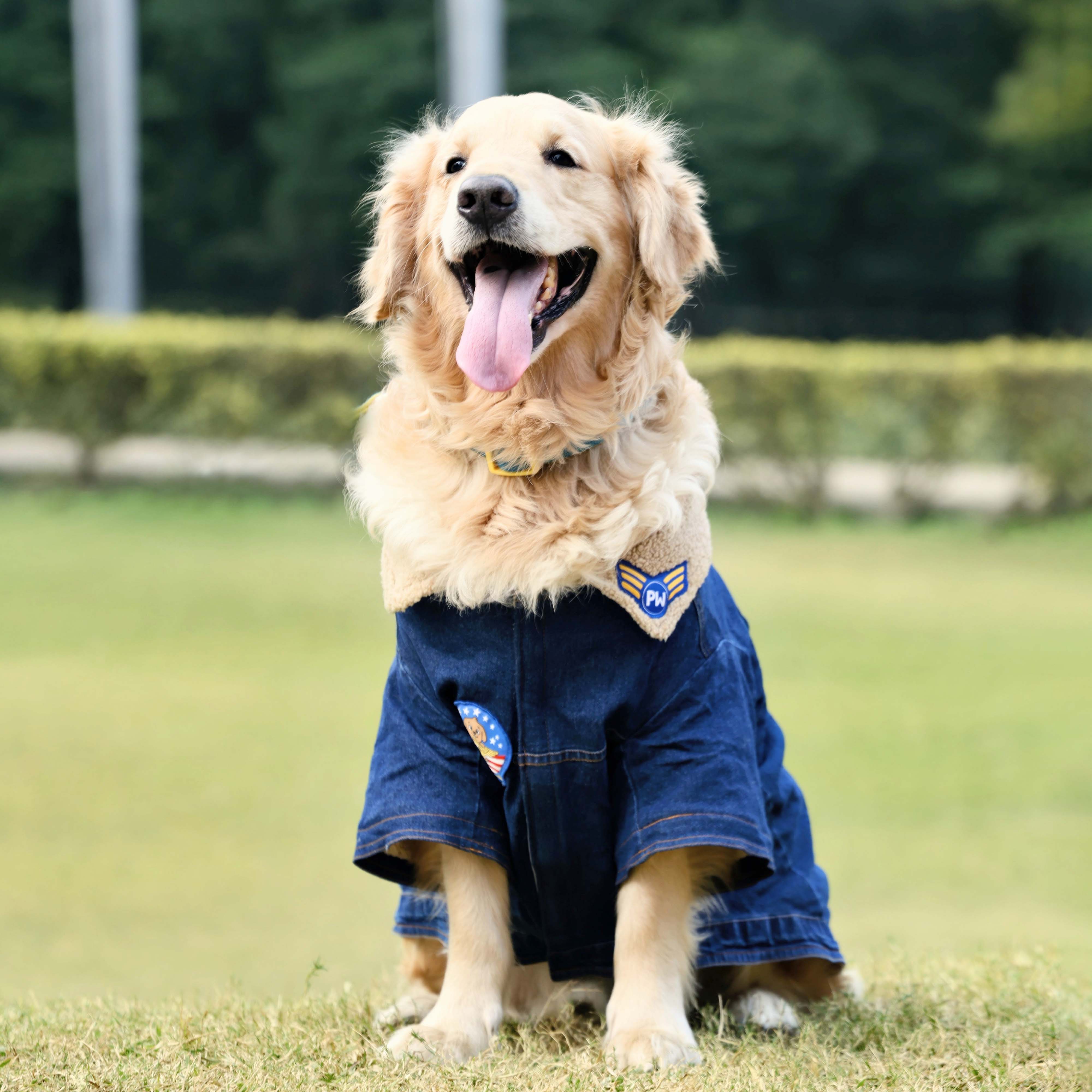 Paw-Gun Marine Denim Dog Jacket
