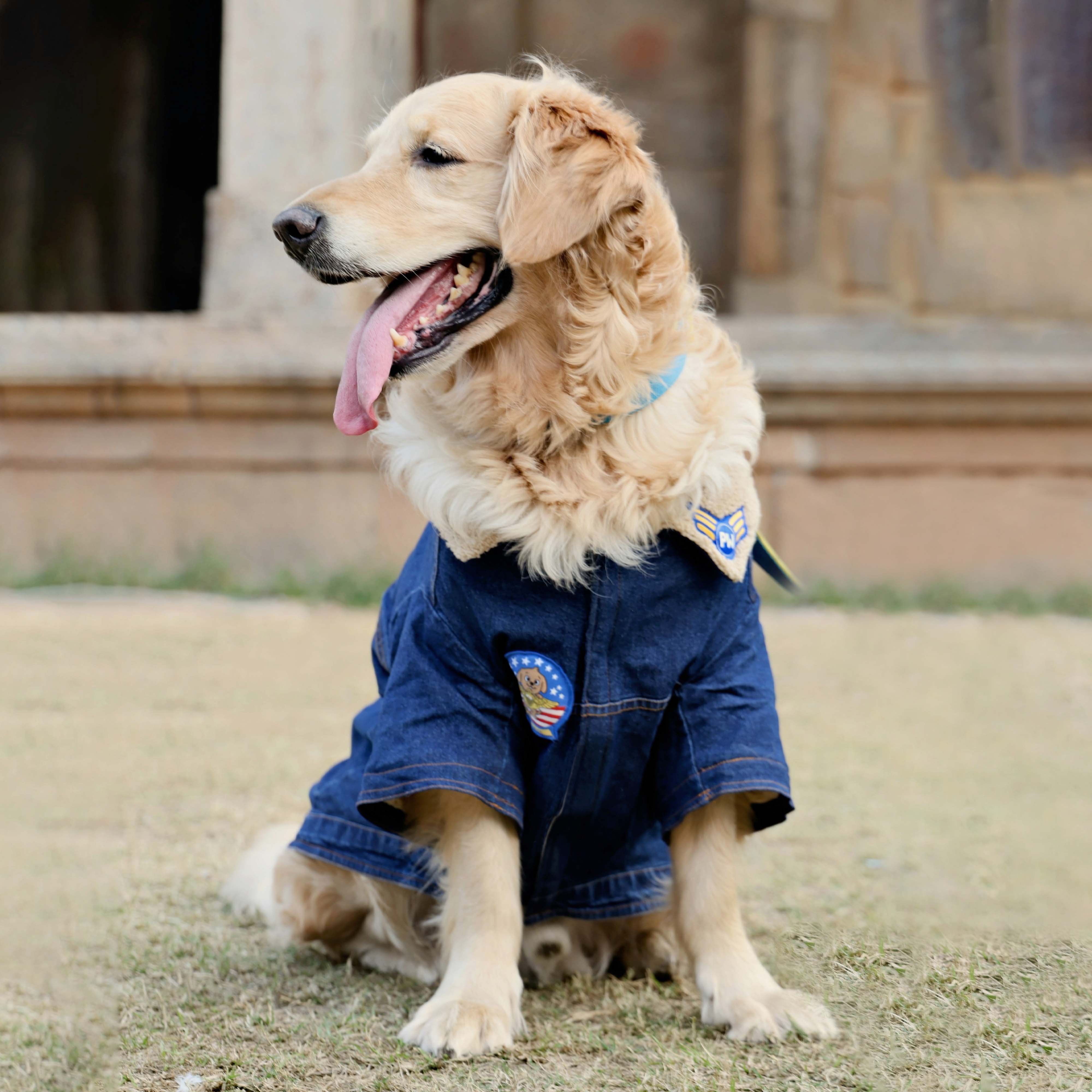 Paw-Gun Marine Denim Dog Jacket