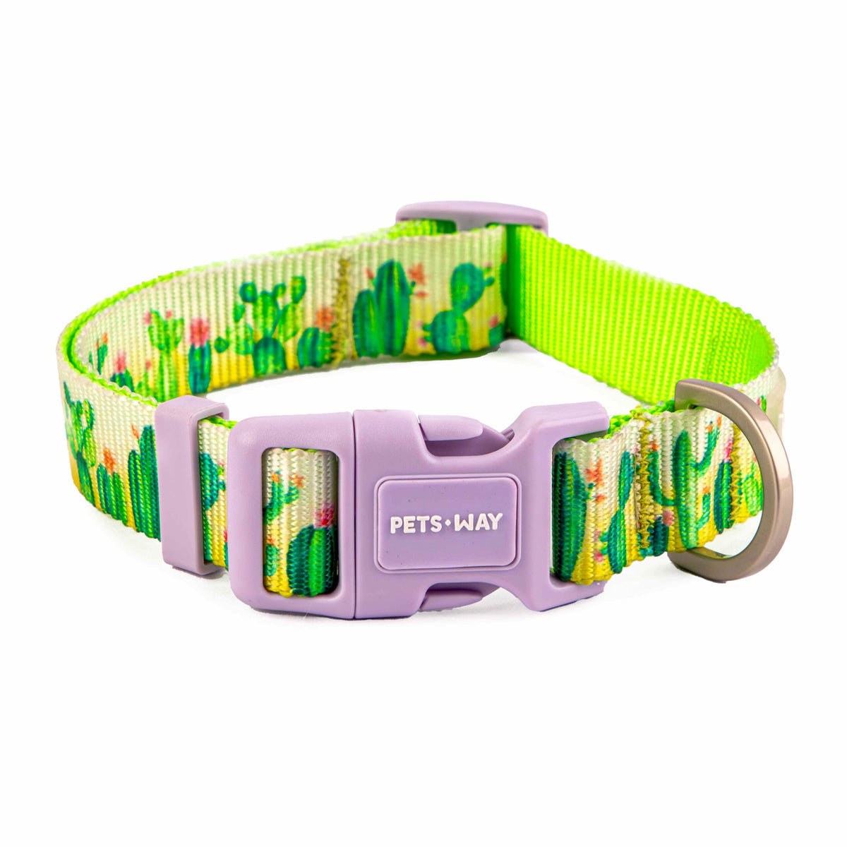 Desert Dog Collar – Durable Stylish for Dogs