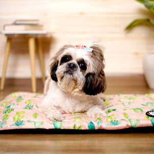 Skid Free Desert Mat  Petsway