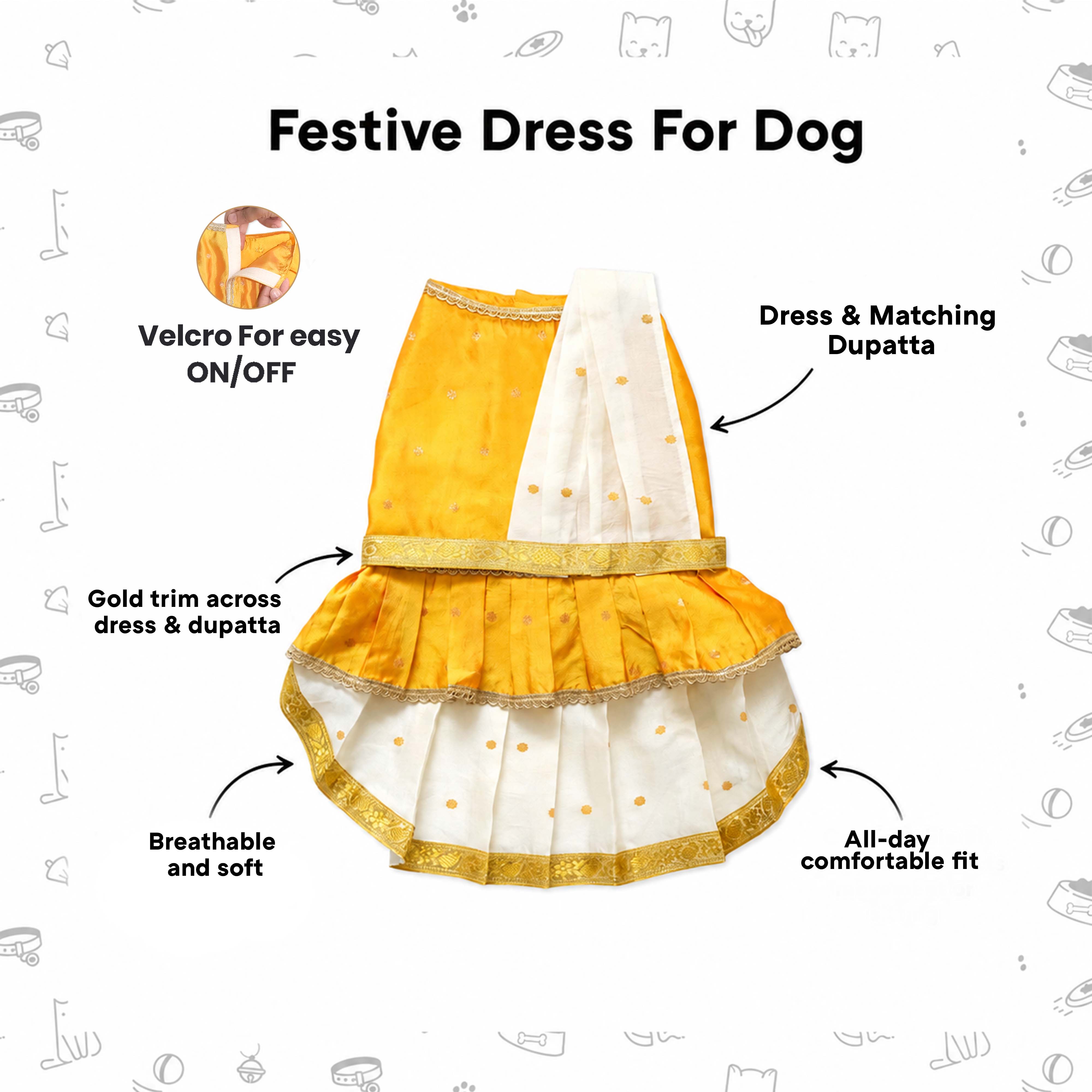 Korvai Dress