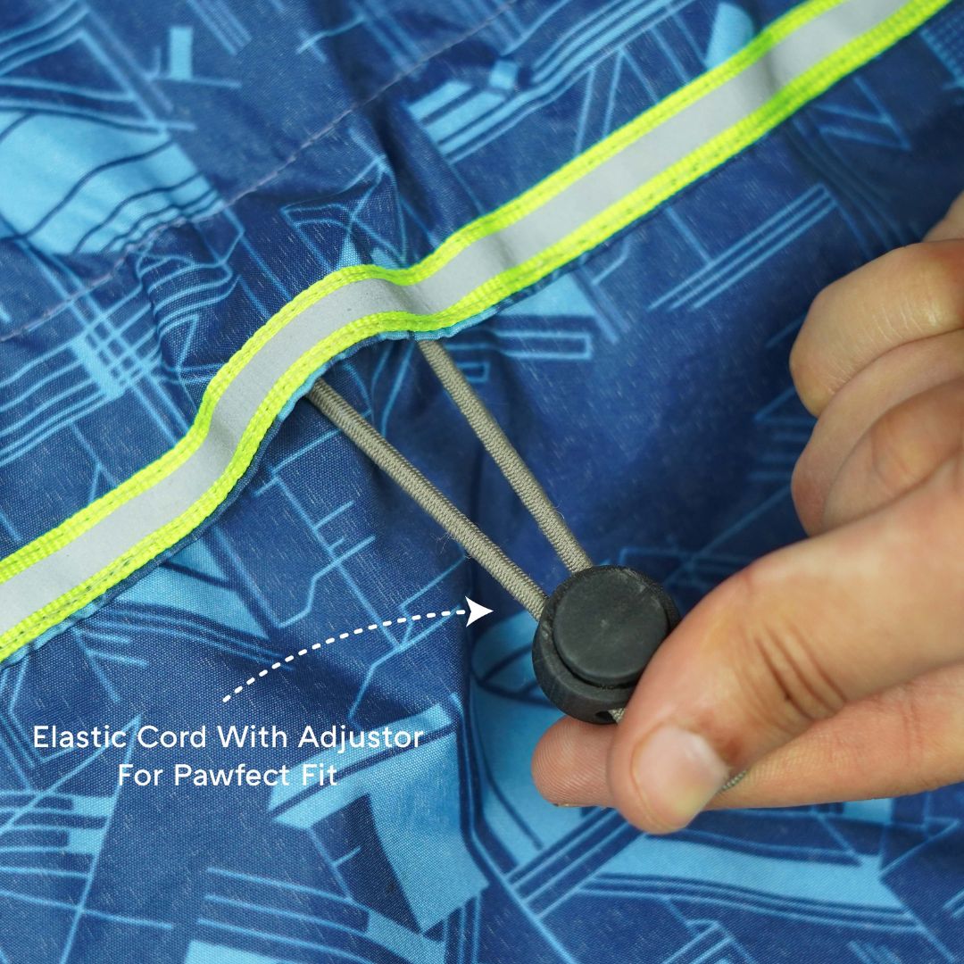 Haze Dog Raincoat-Cobalt