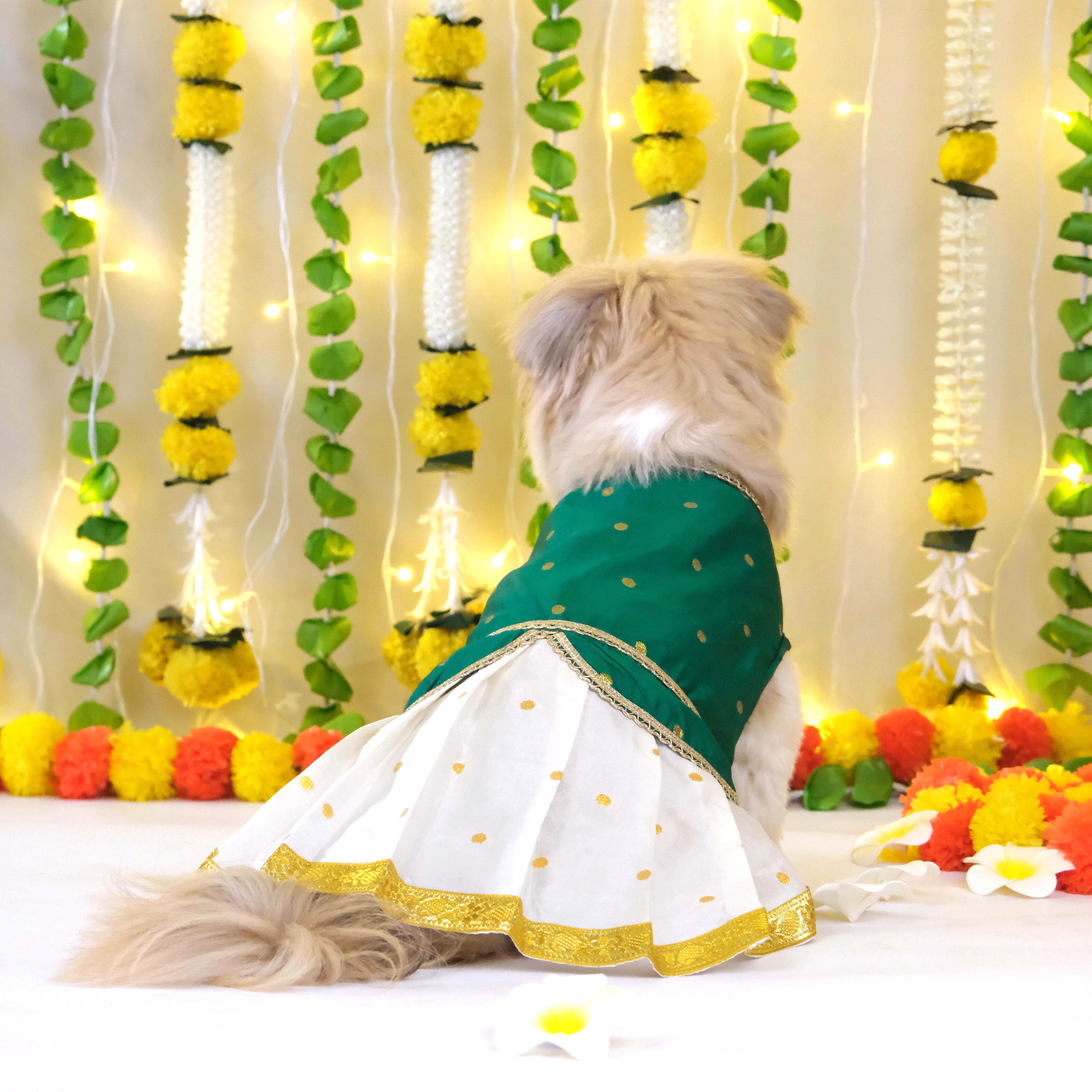 Korvai Dress