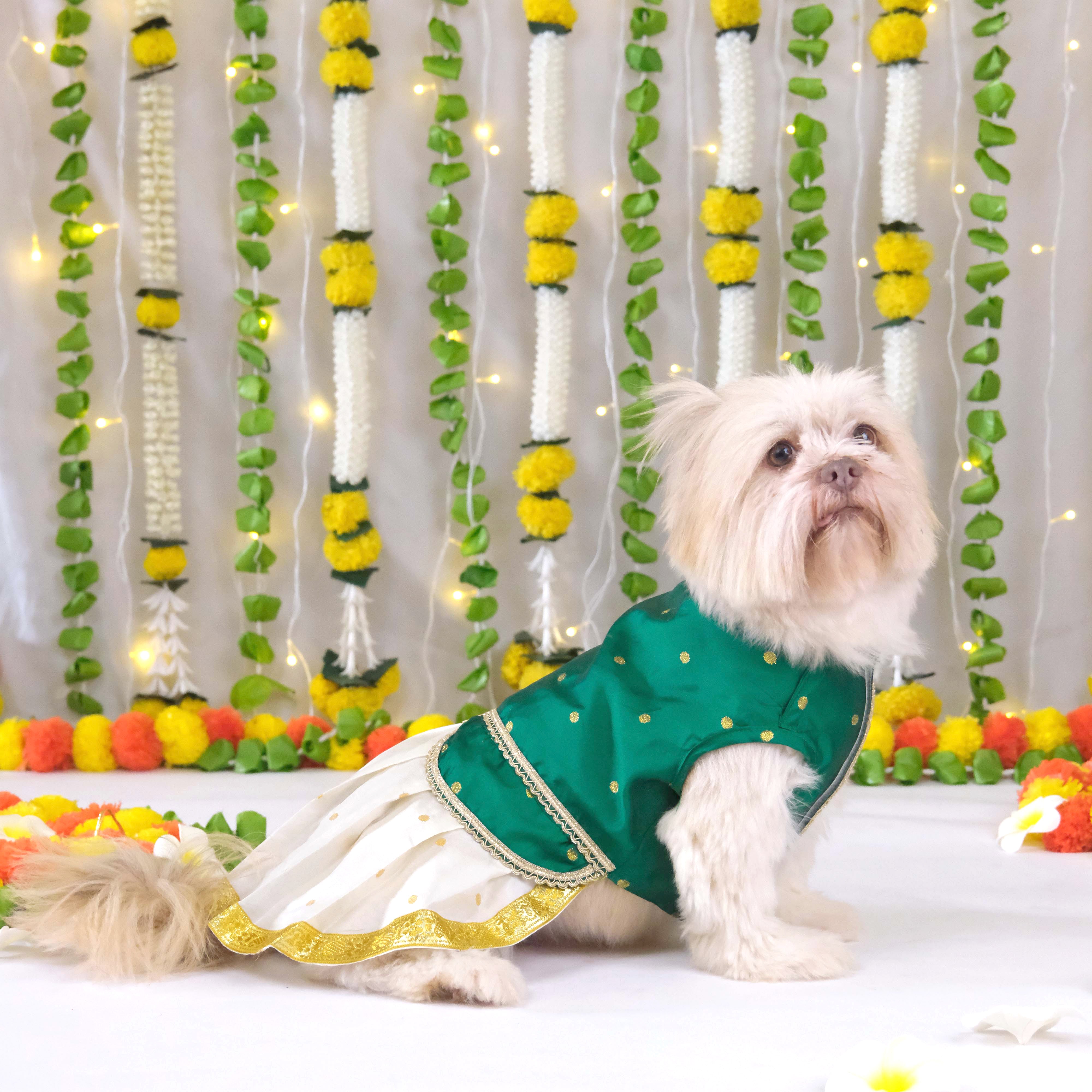 Korvai Dress