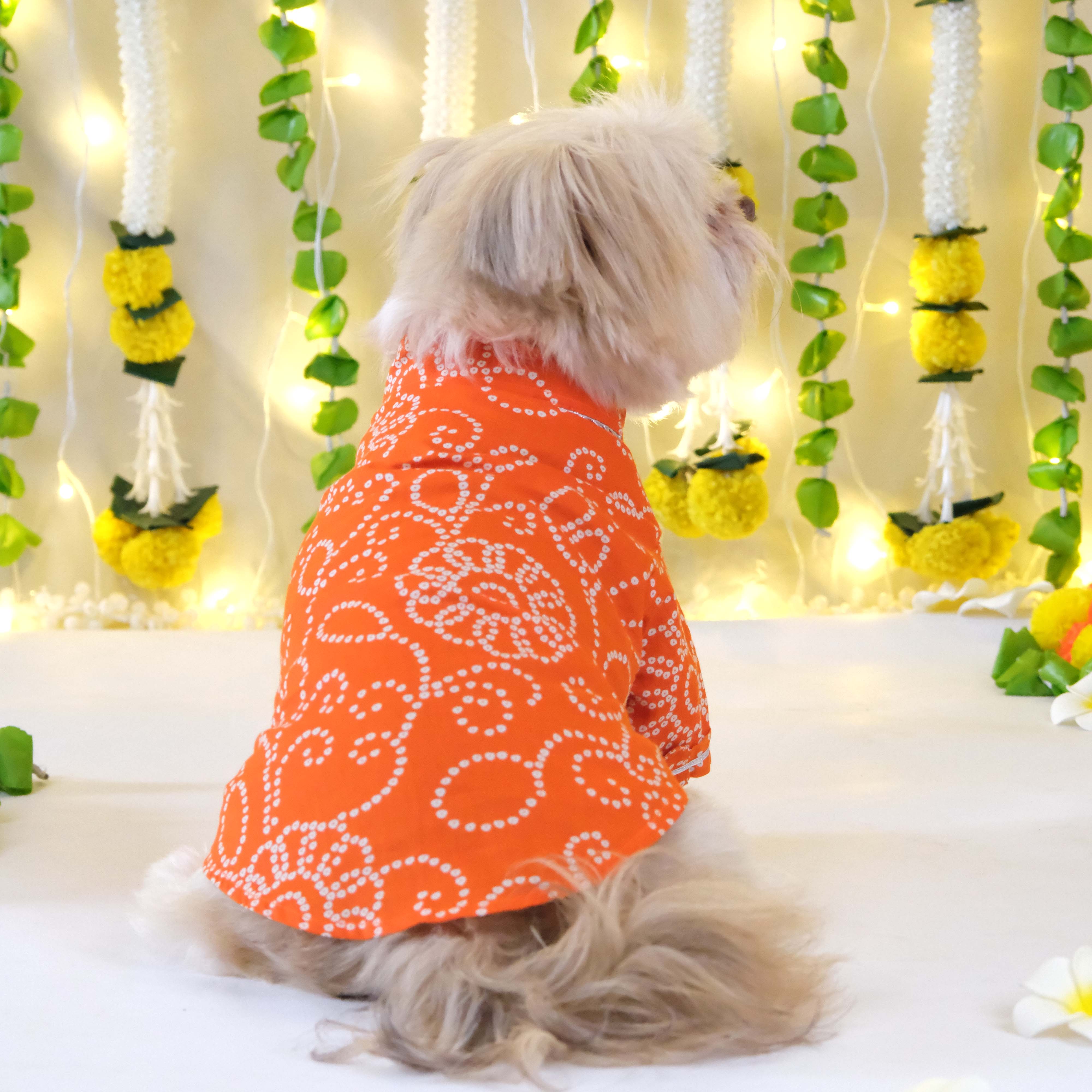 Bandhani - Orange Dog kurta