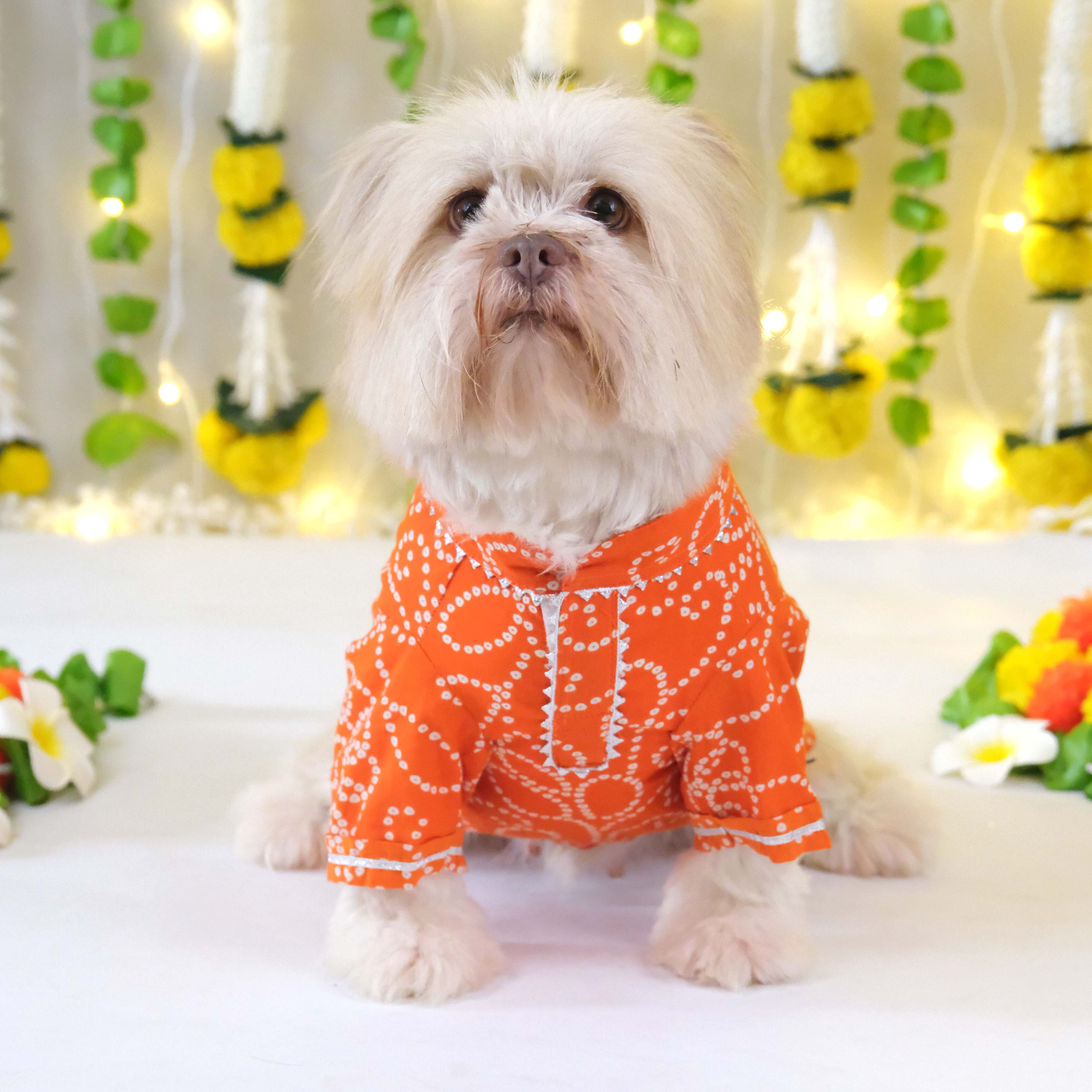 Bandhani - Orange Dog kurta
