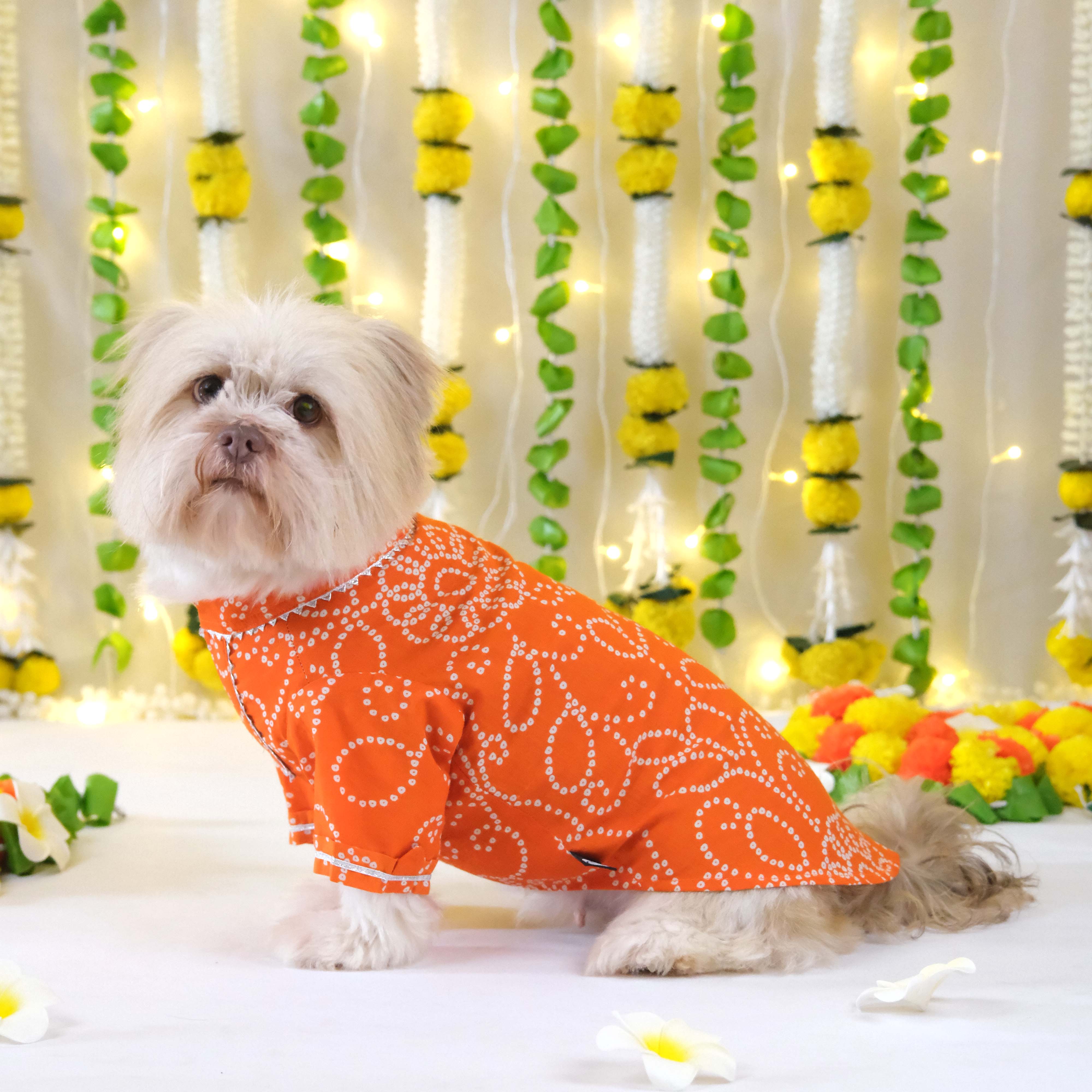 Bandhani - Orange Dog kurta
