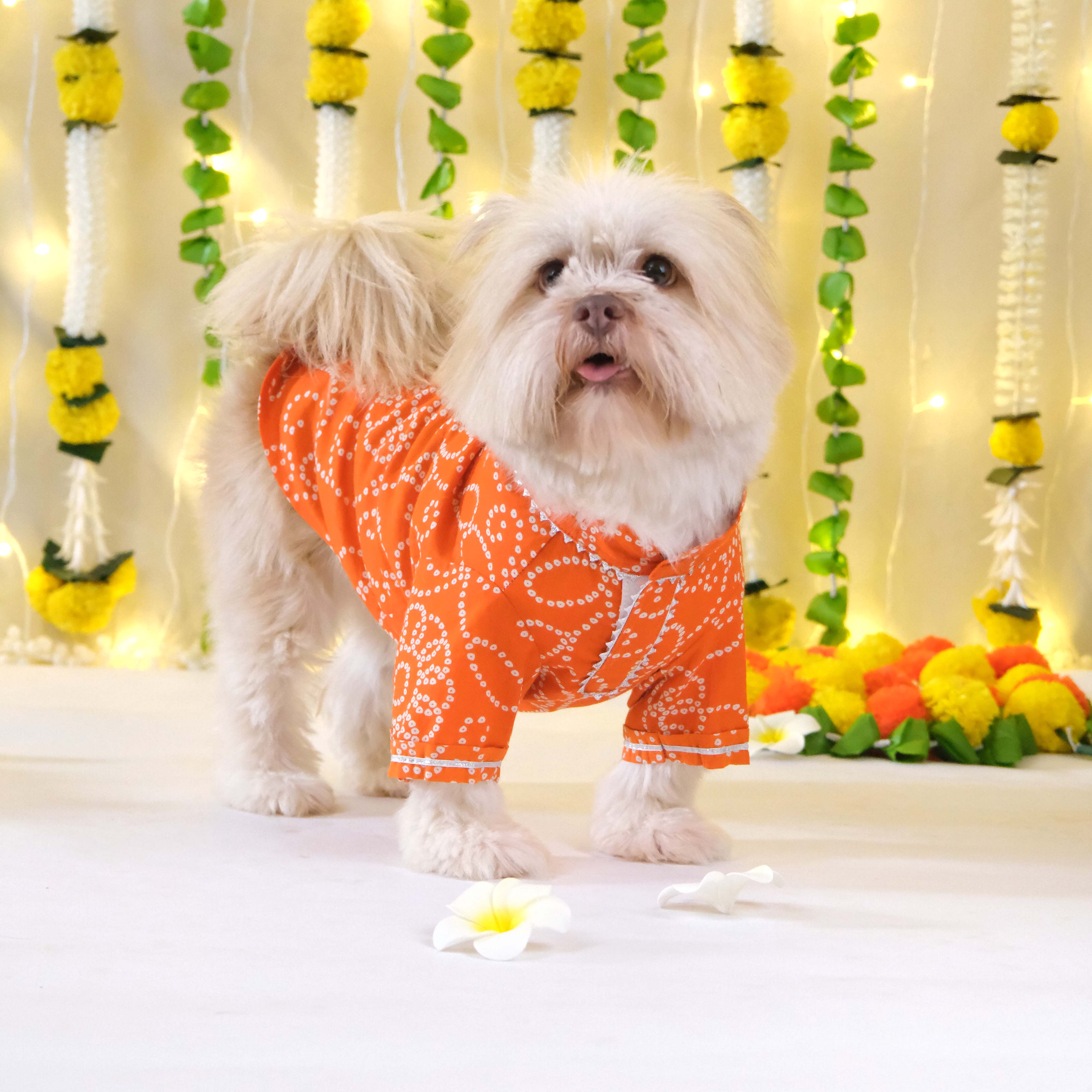 Bandhani - Orange Dog kurta