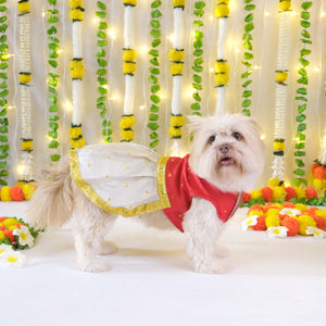 Pattu Dress