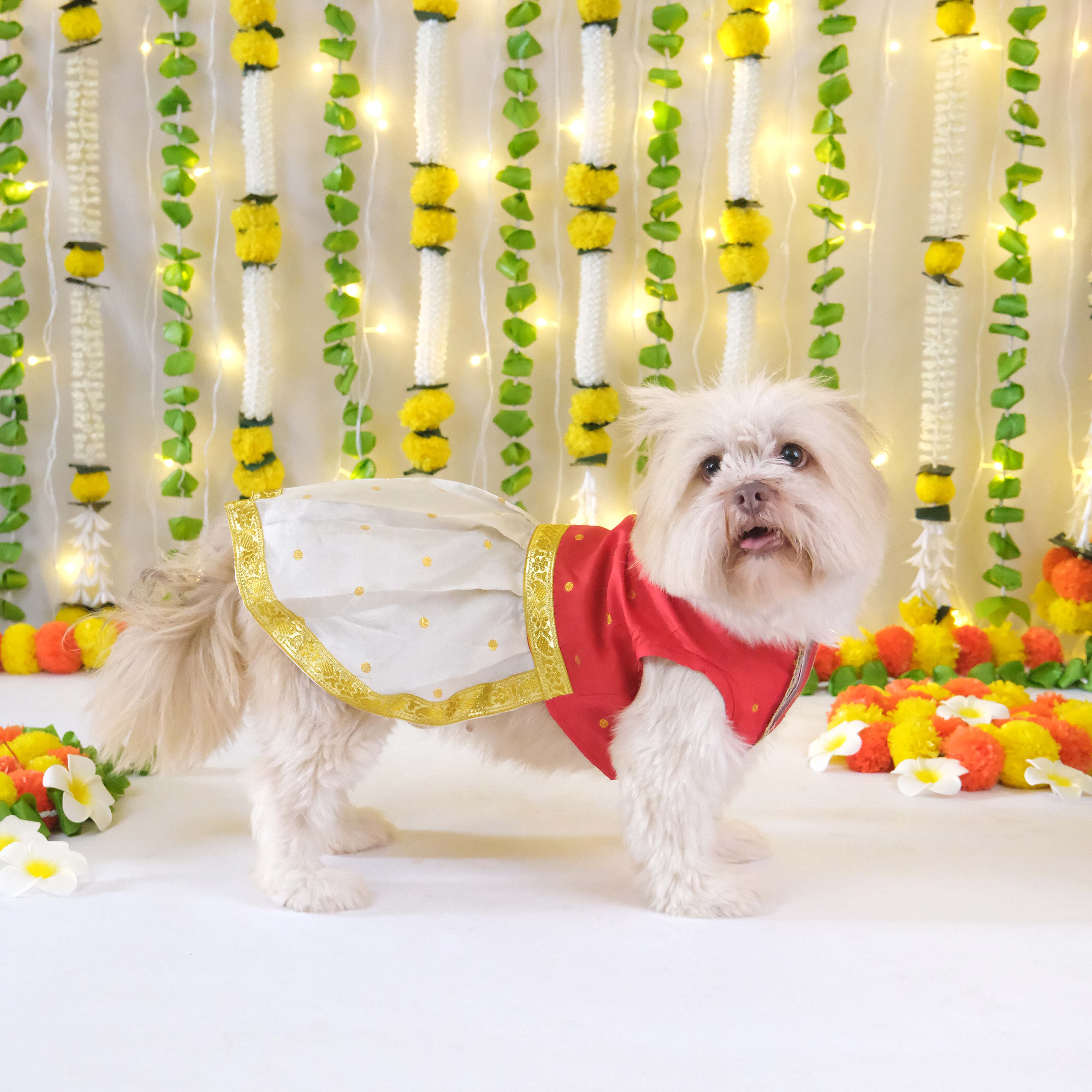 Pattu Dress
