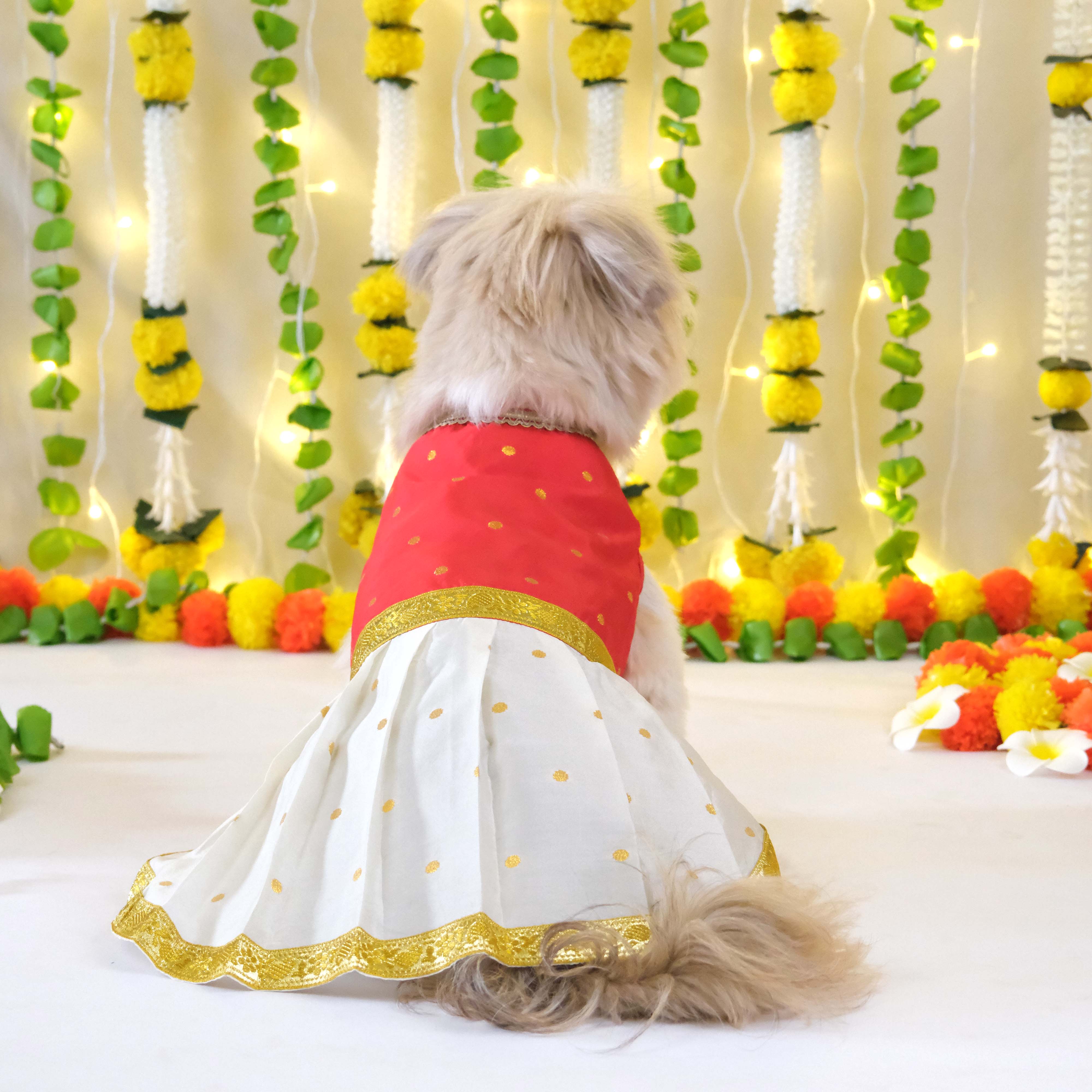 Pattu Dress