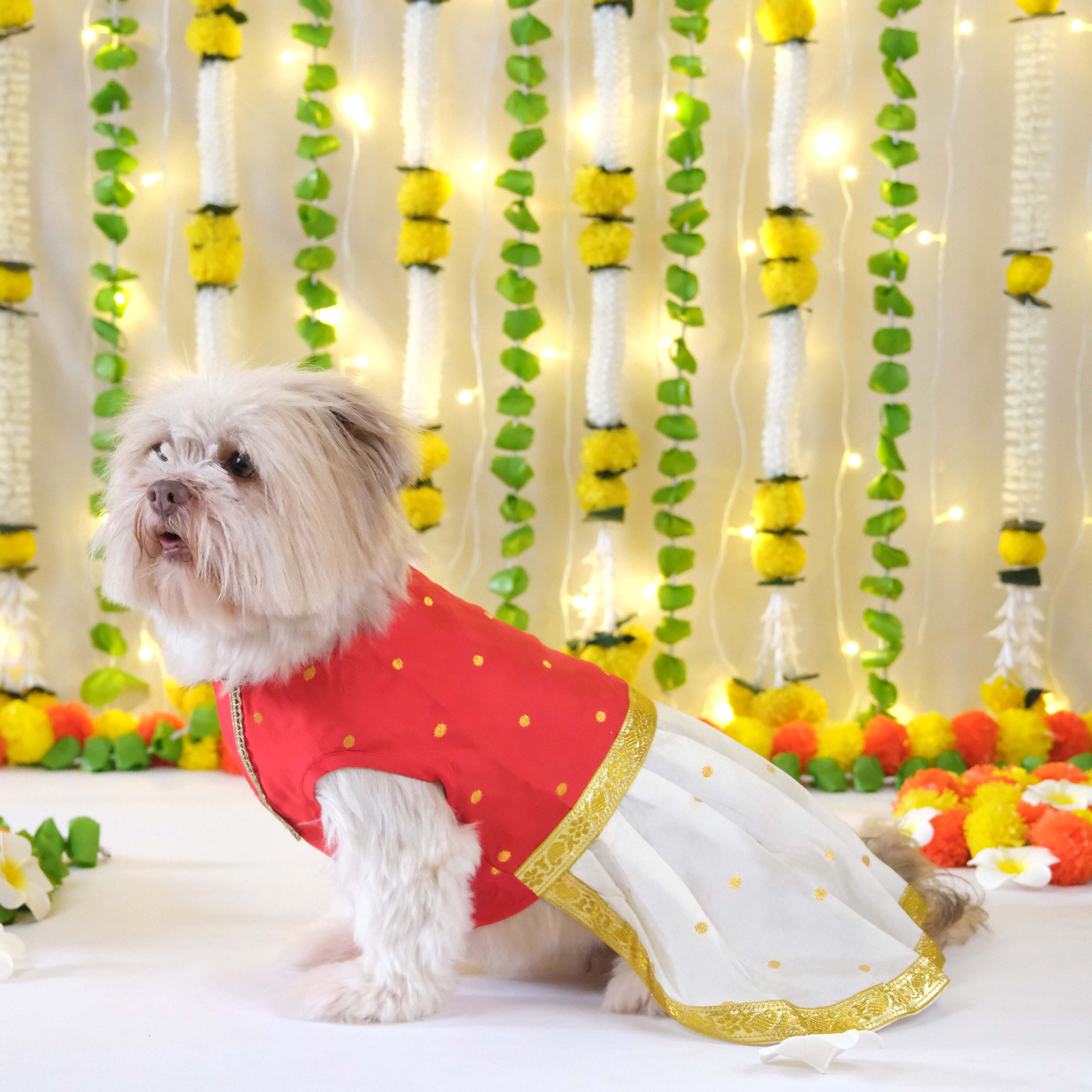Pattu Dress