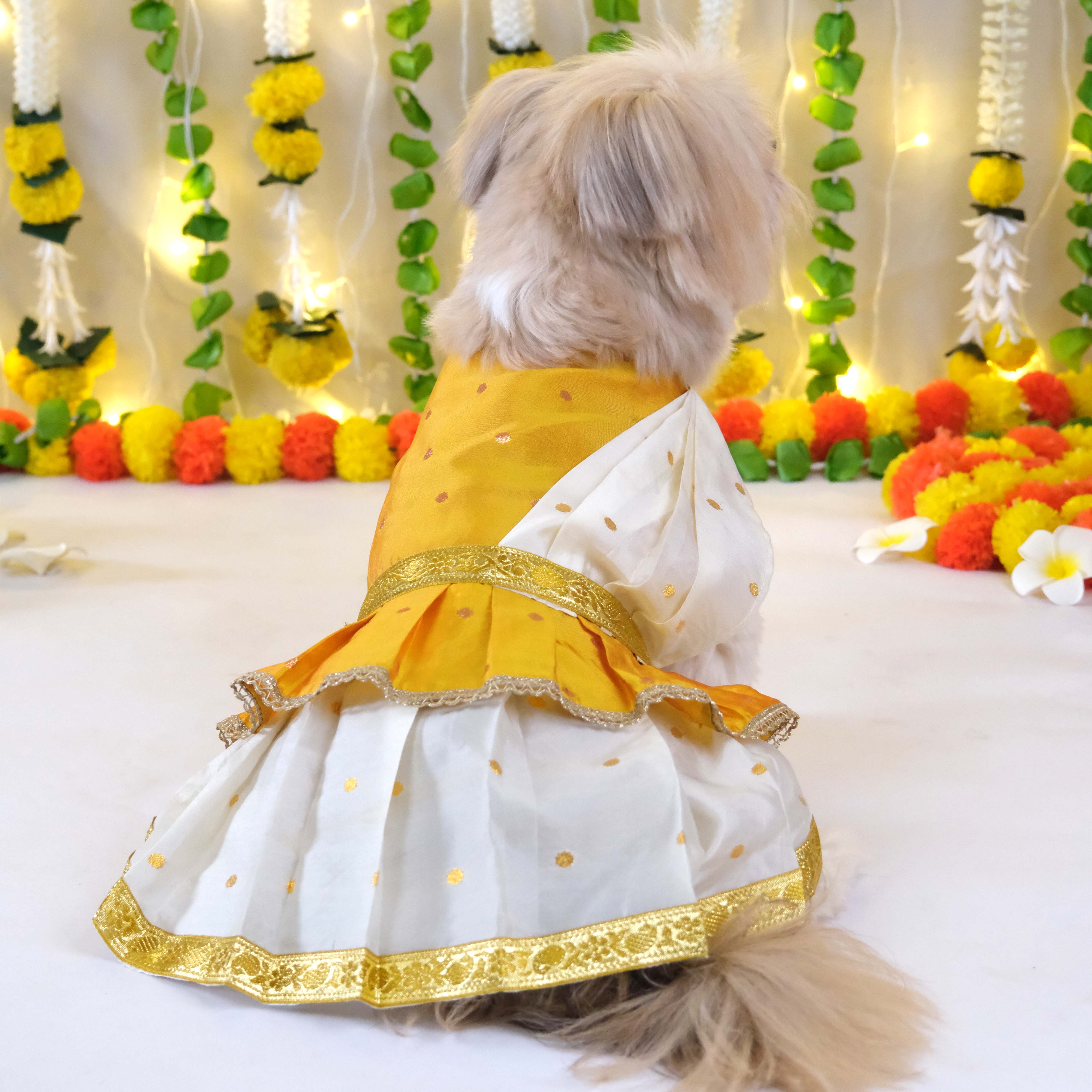 Parikini Dress with Dupatta