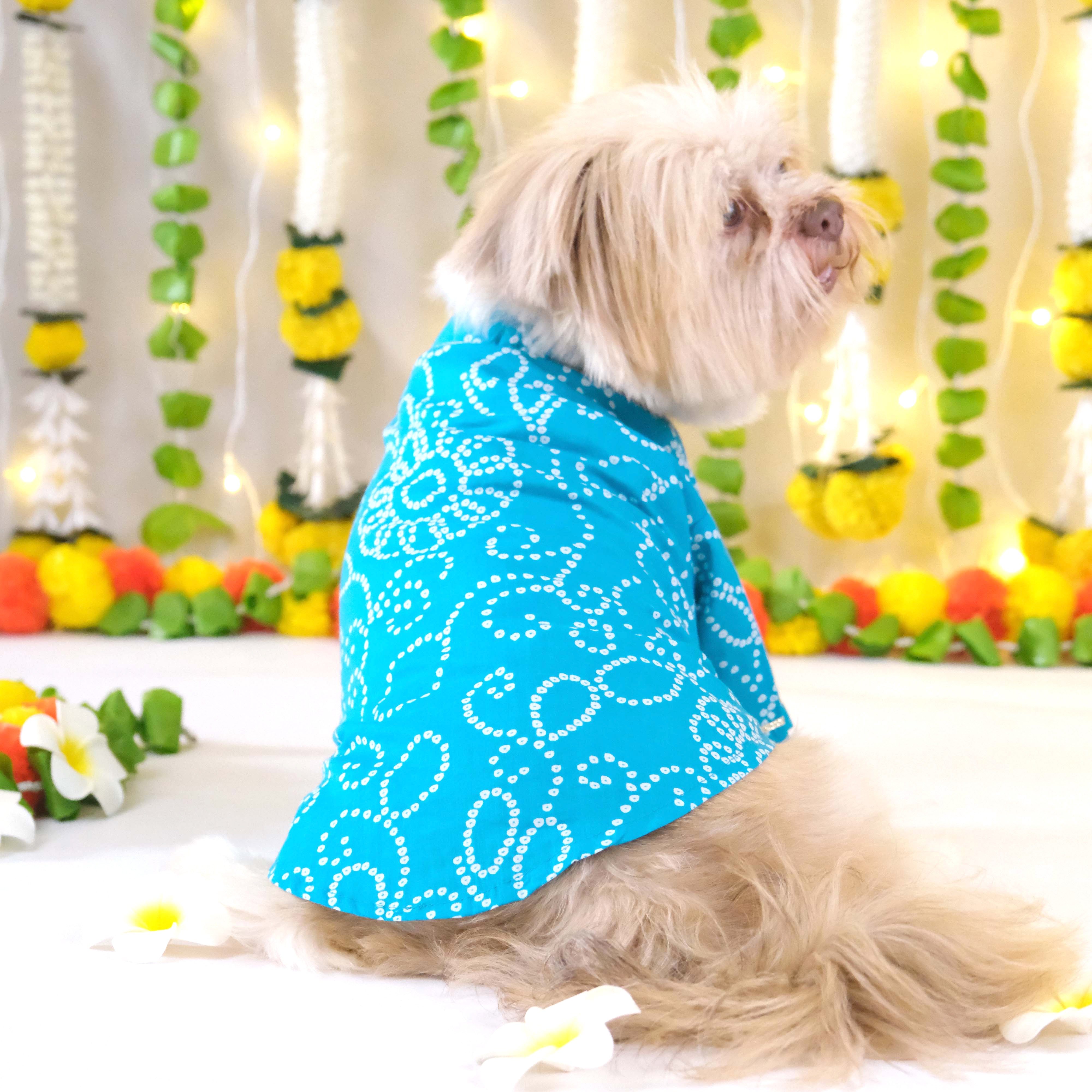 Bandhani - Blue Dog kurta