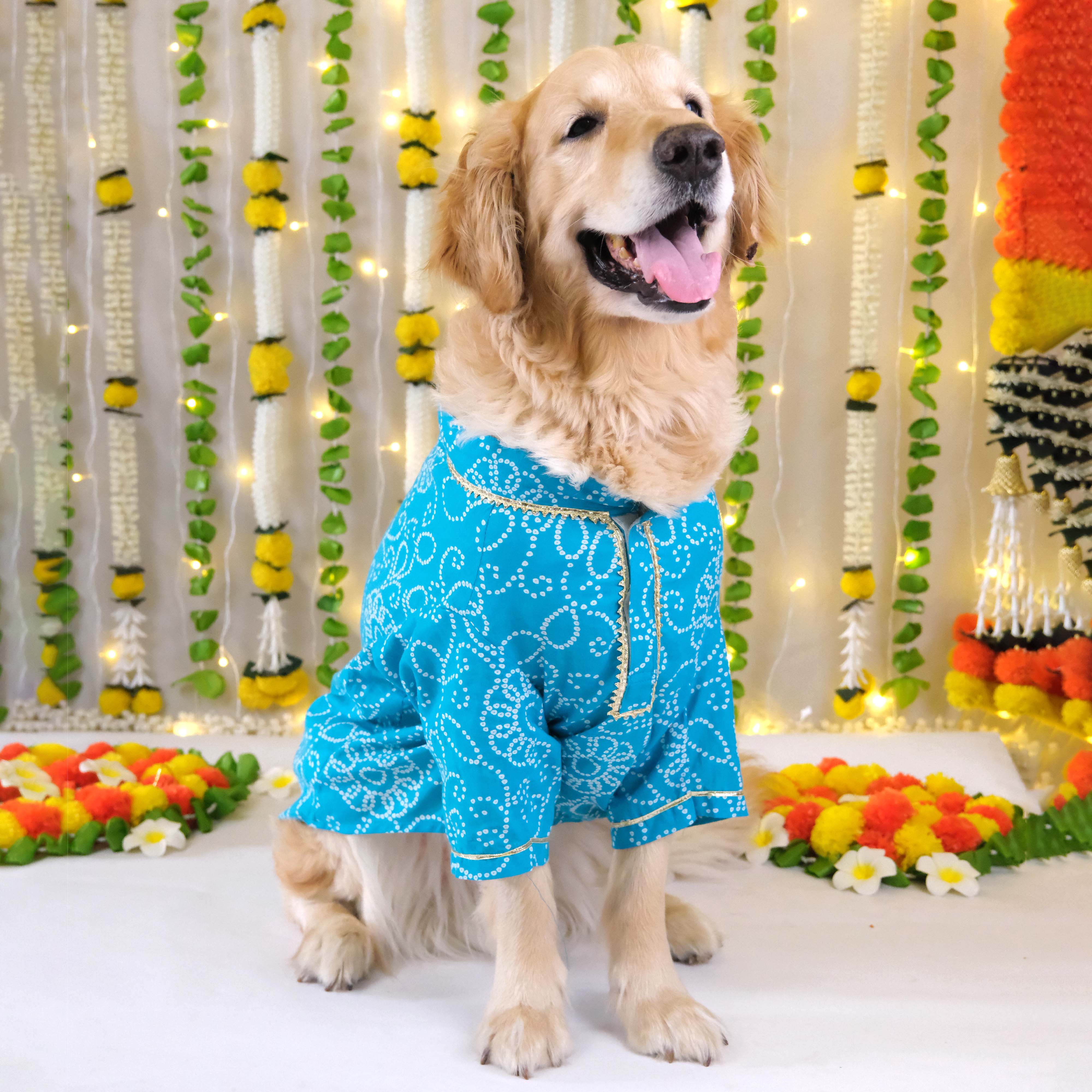 Bandhani - Blue Dog kurta