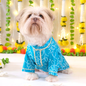 Bandhani - Blue Dog kurta