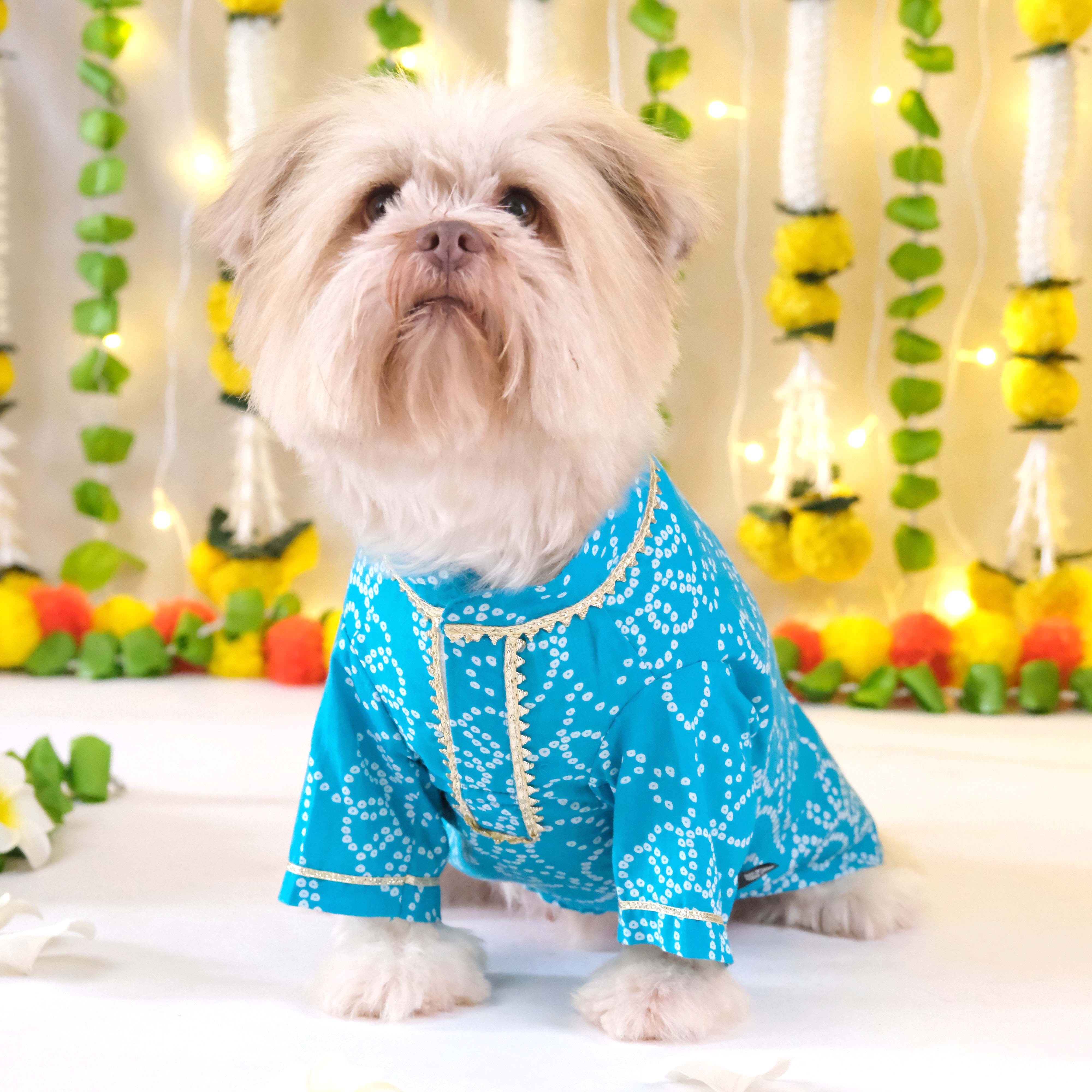 Bandhani - Blue Dog kurta
