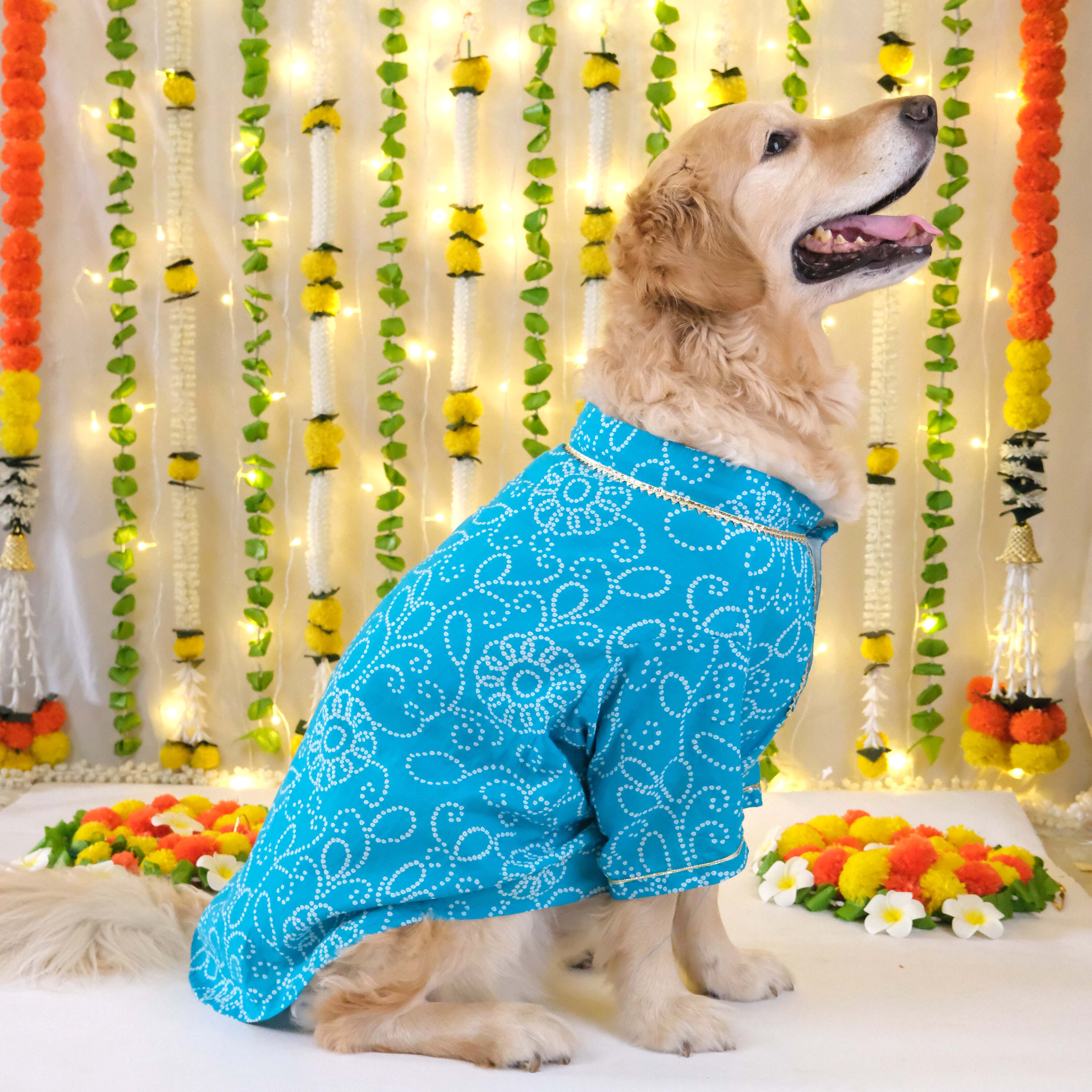 Bandhani - Blue Dog kurta