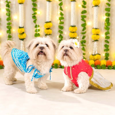 Festive/Wedding