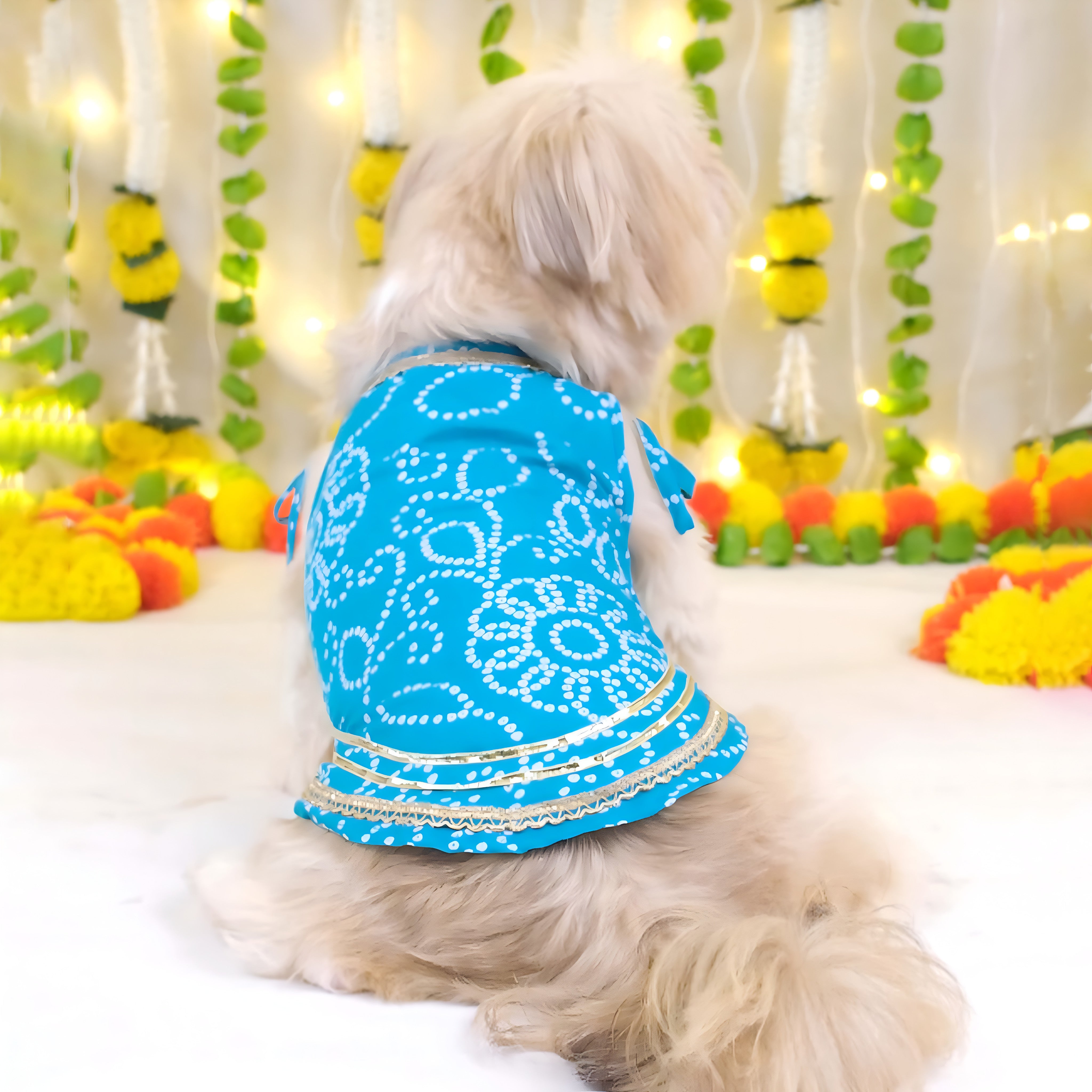 Aasma Bandhani Cotton Dress